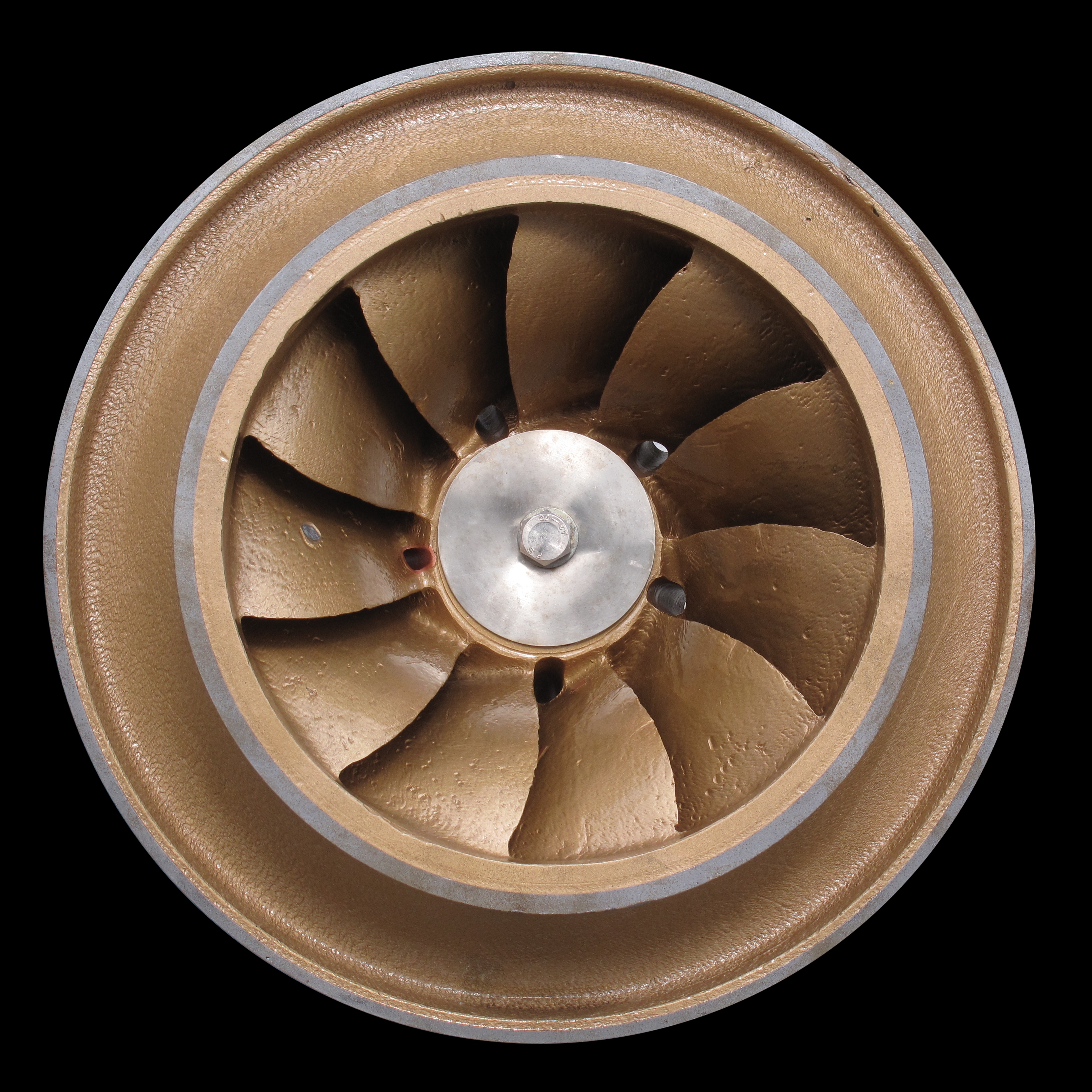 Francis turbine-IMG 4993