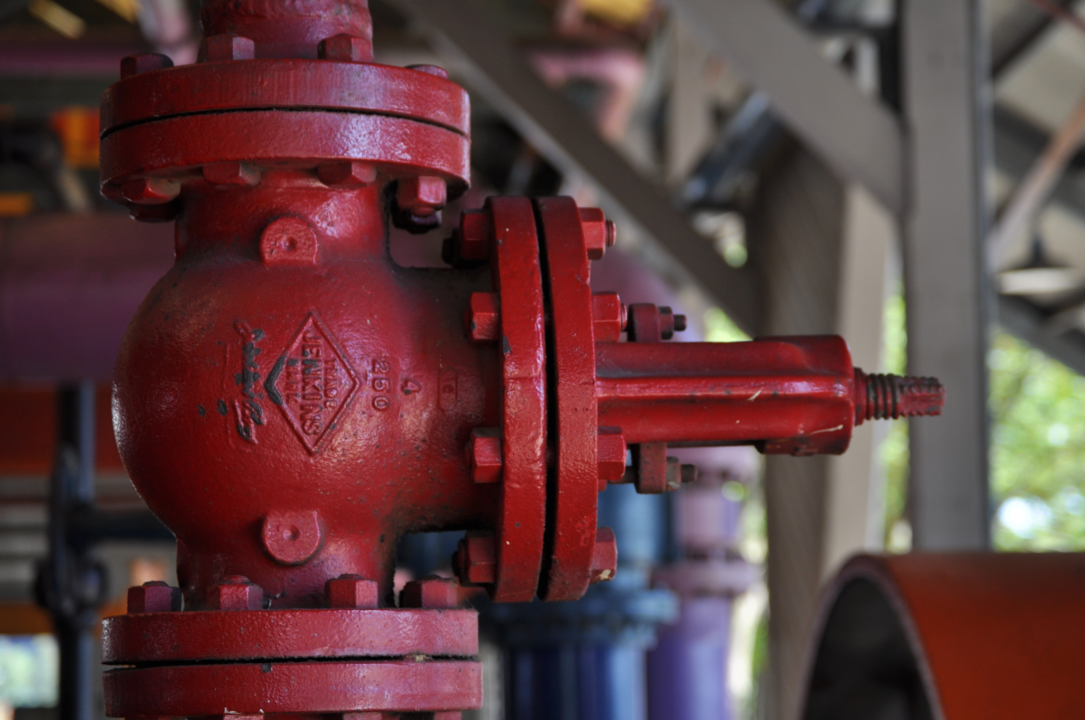 Gasworks Park detail 09