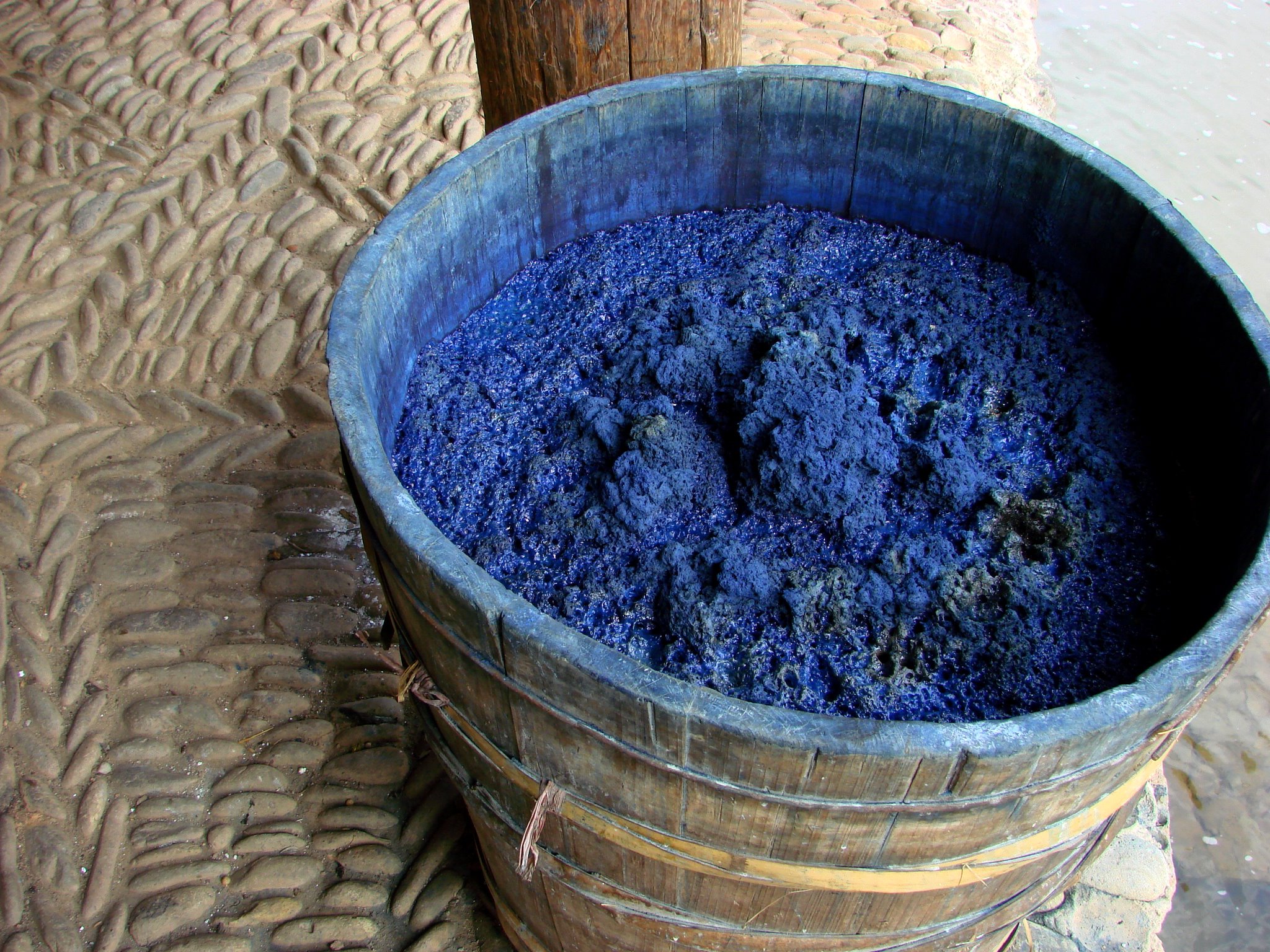 Indigo-guizhou