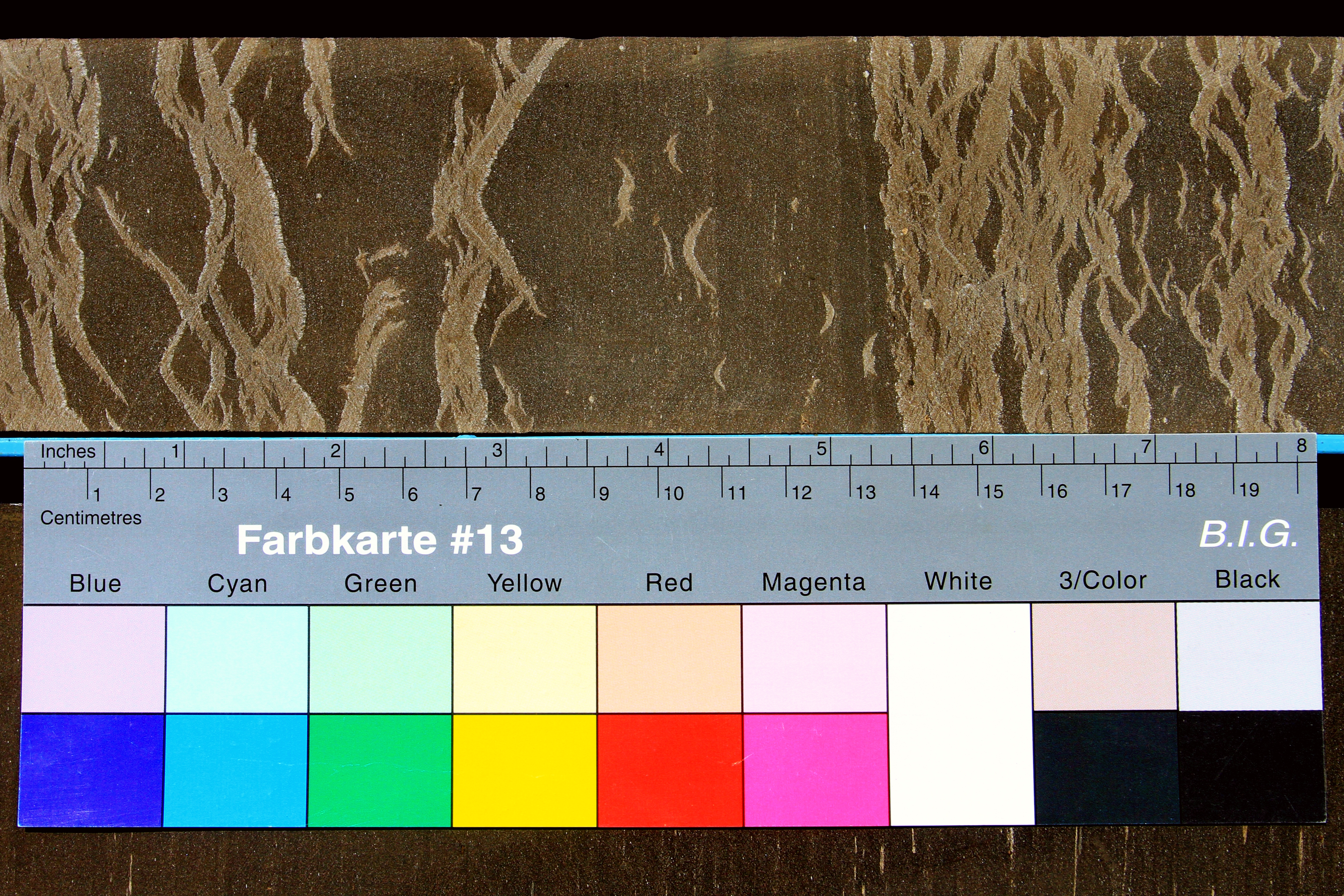 Jordan Oil Shale, 