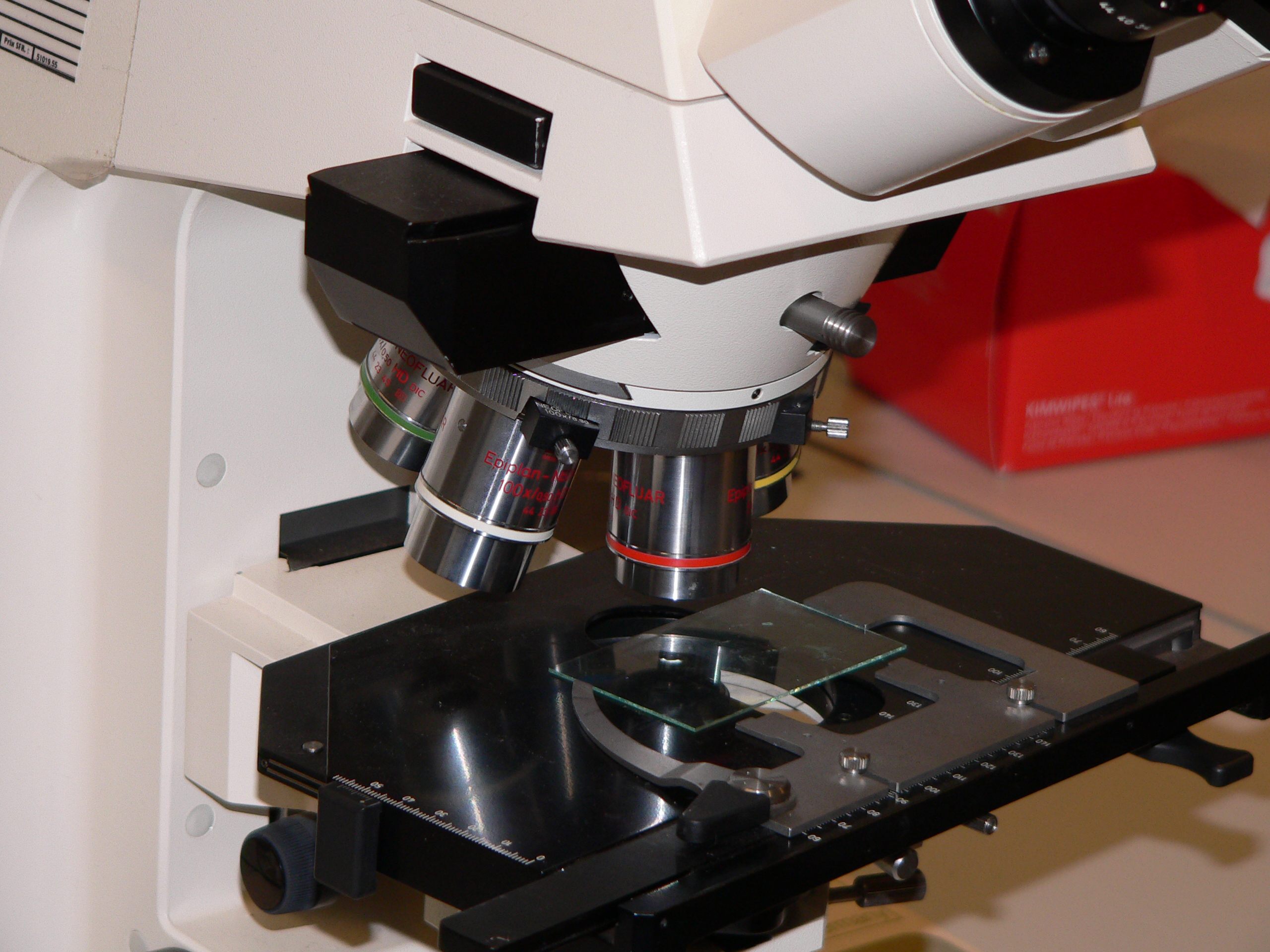 Loupe-binoculaire-p1030883