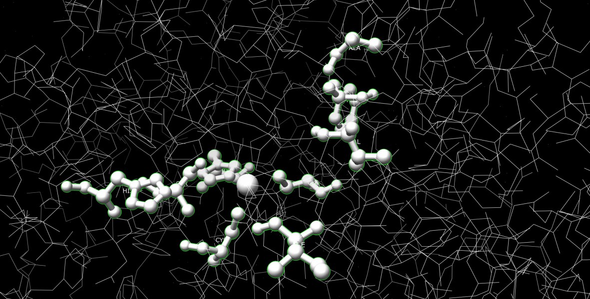 Active site generated by chimera