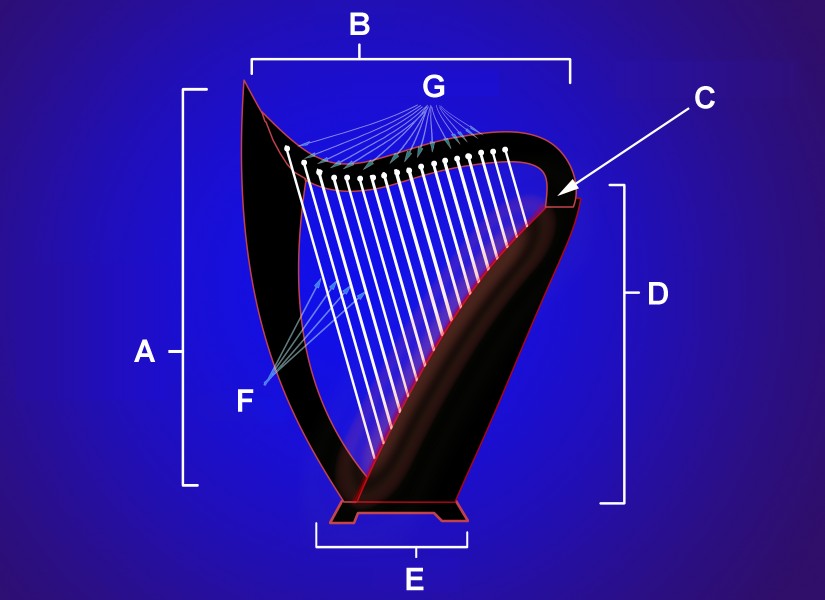 Harp diagram