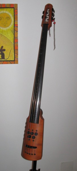 NS Design Bass Cello 5 Strings