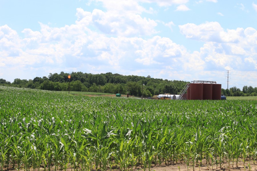 Oil Tank Battery in a Corn Field Saline Township Michigan