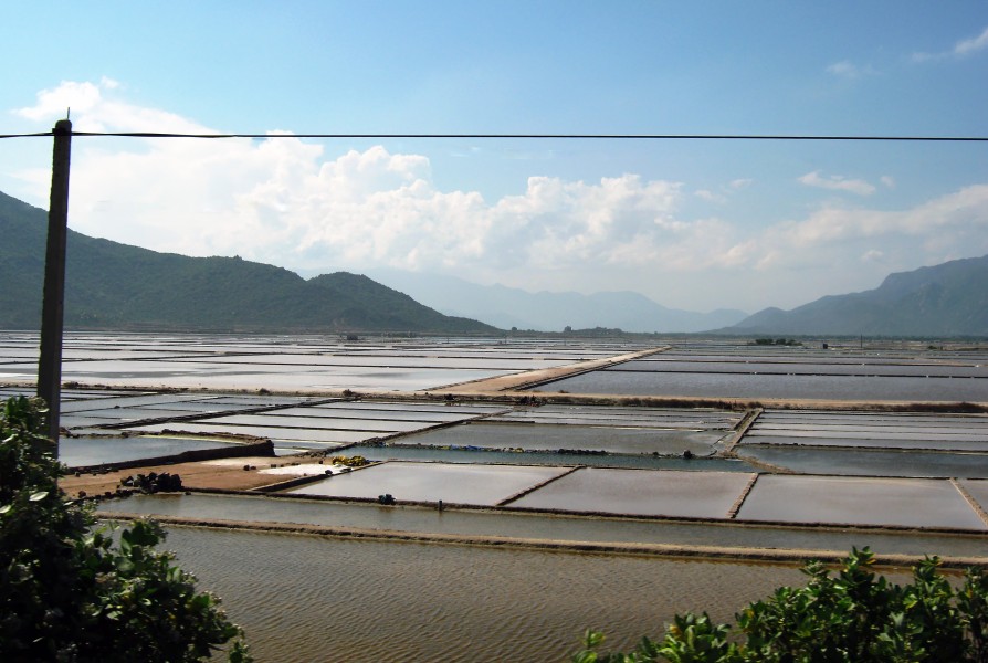 Ruộng muối Phan Rang