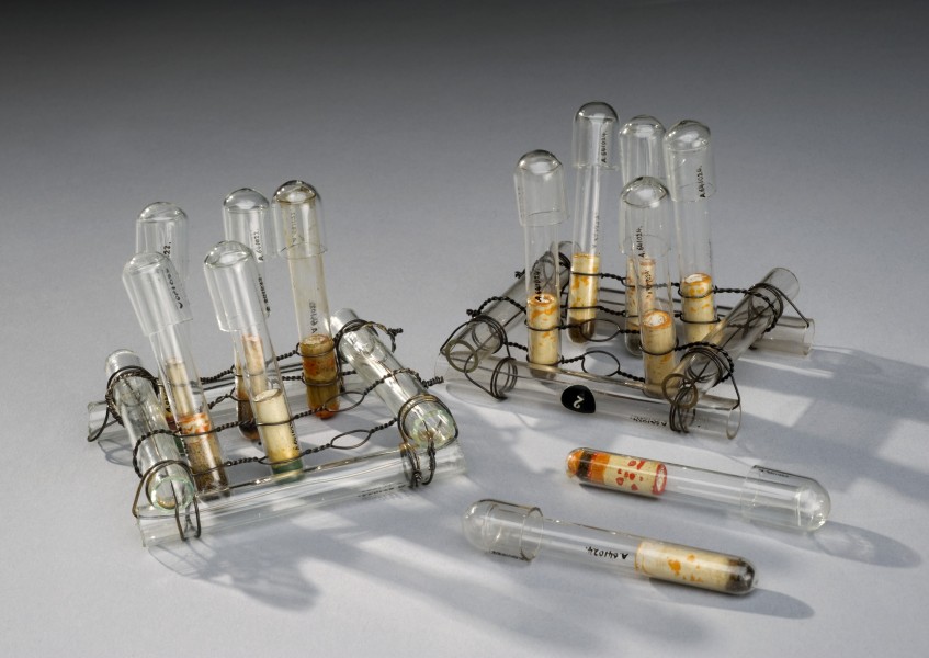 Set of six test tubes with stand, used by Joseph Lister, Uni Wellcome L0058563