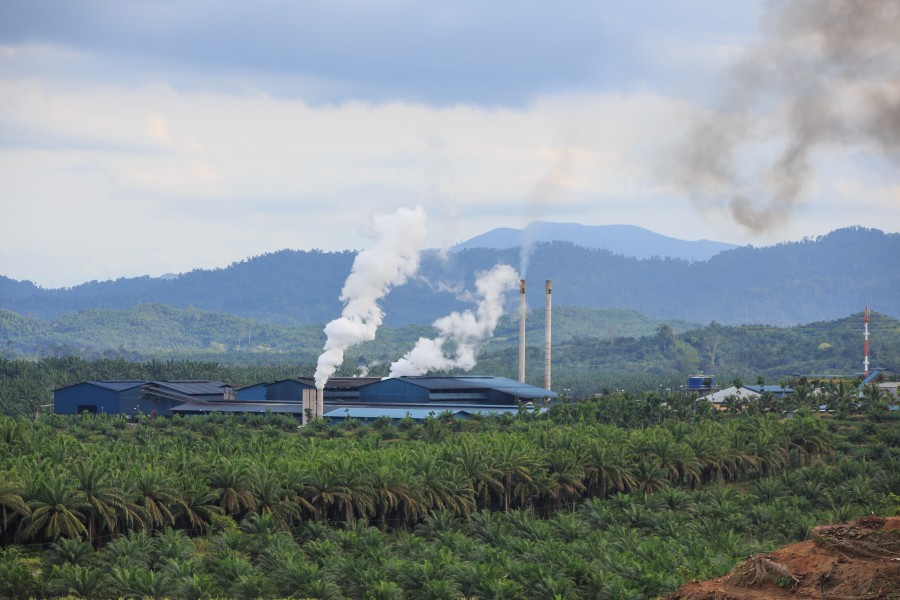 Sungai-Mangis Sabah Tamaco-Oil-Mill-2-01