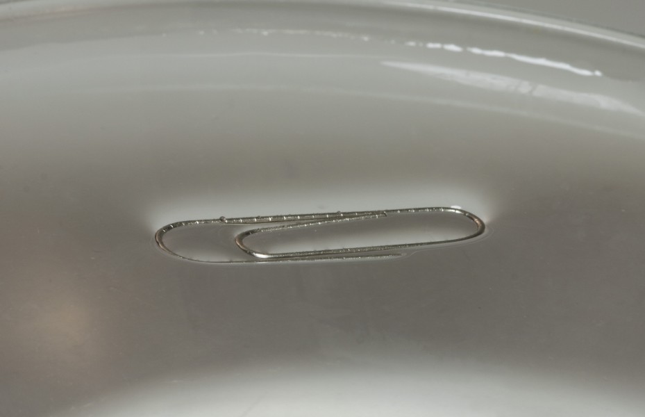Water surface tension 2