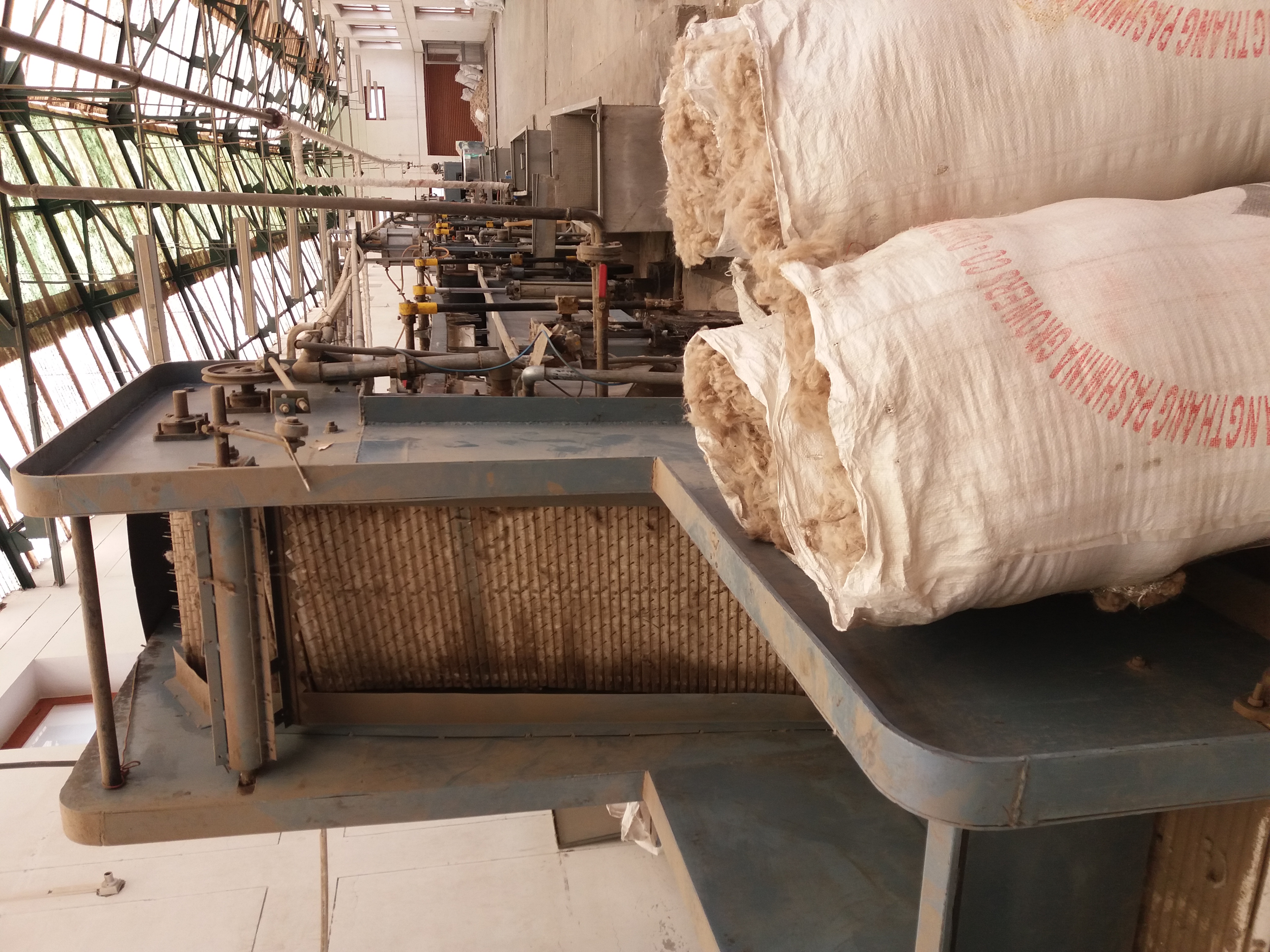 Processing of pashmina wool, Leh