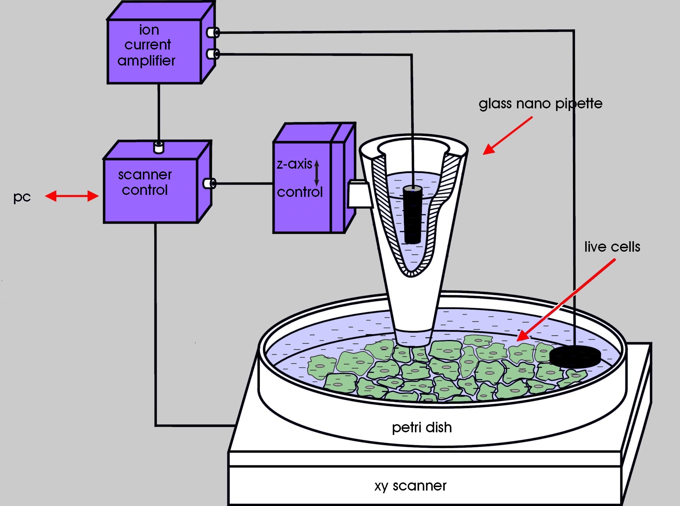 Sicm