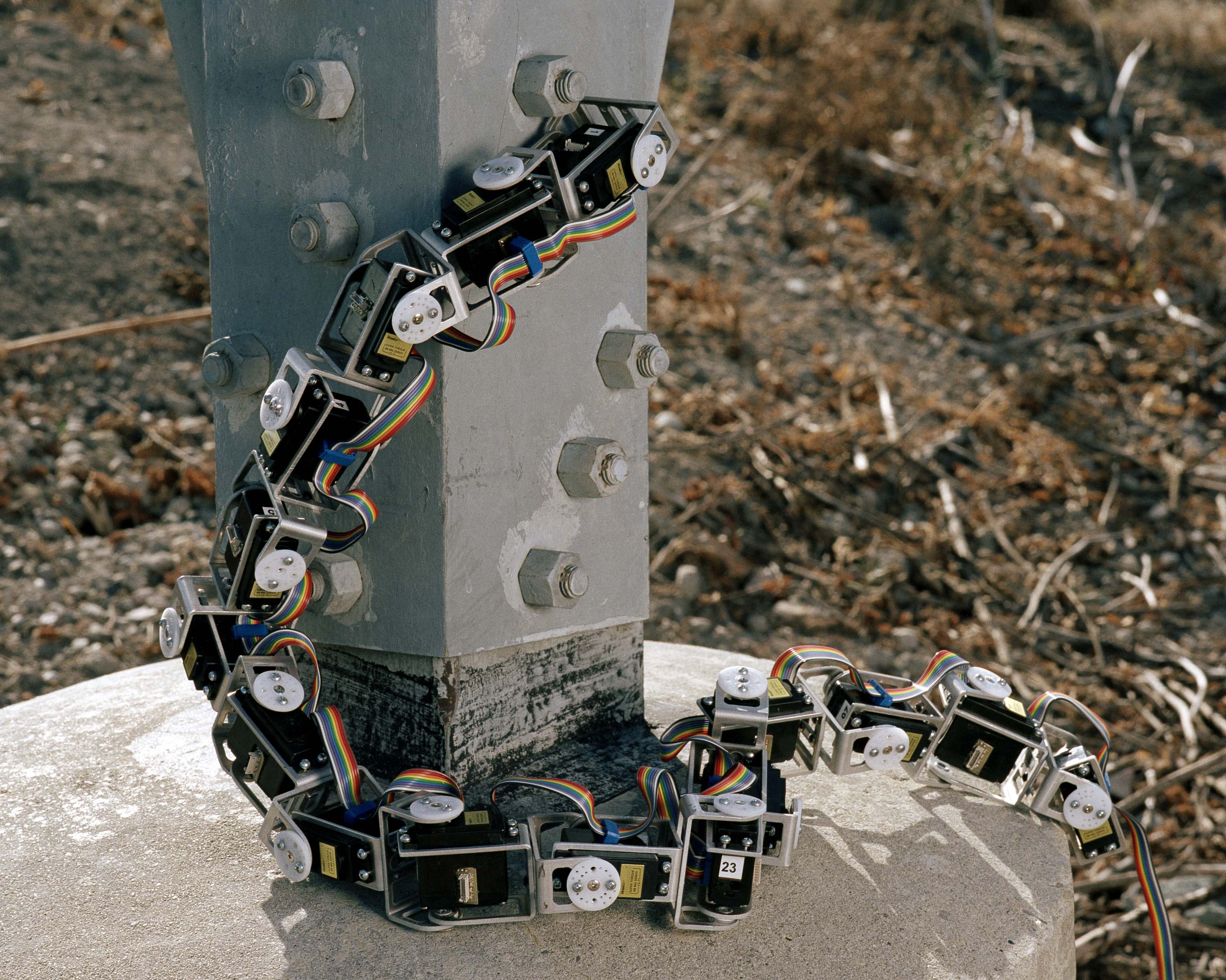 SnakeBot2