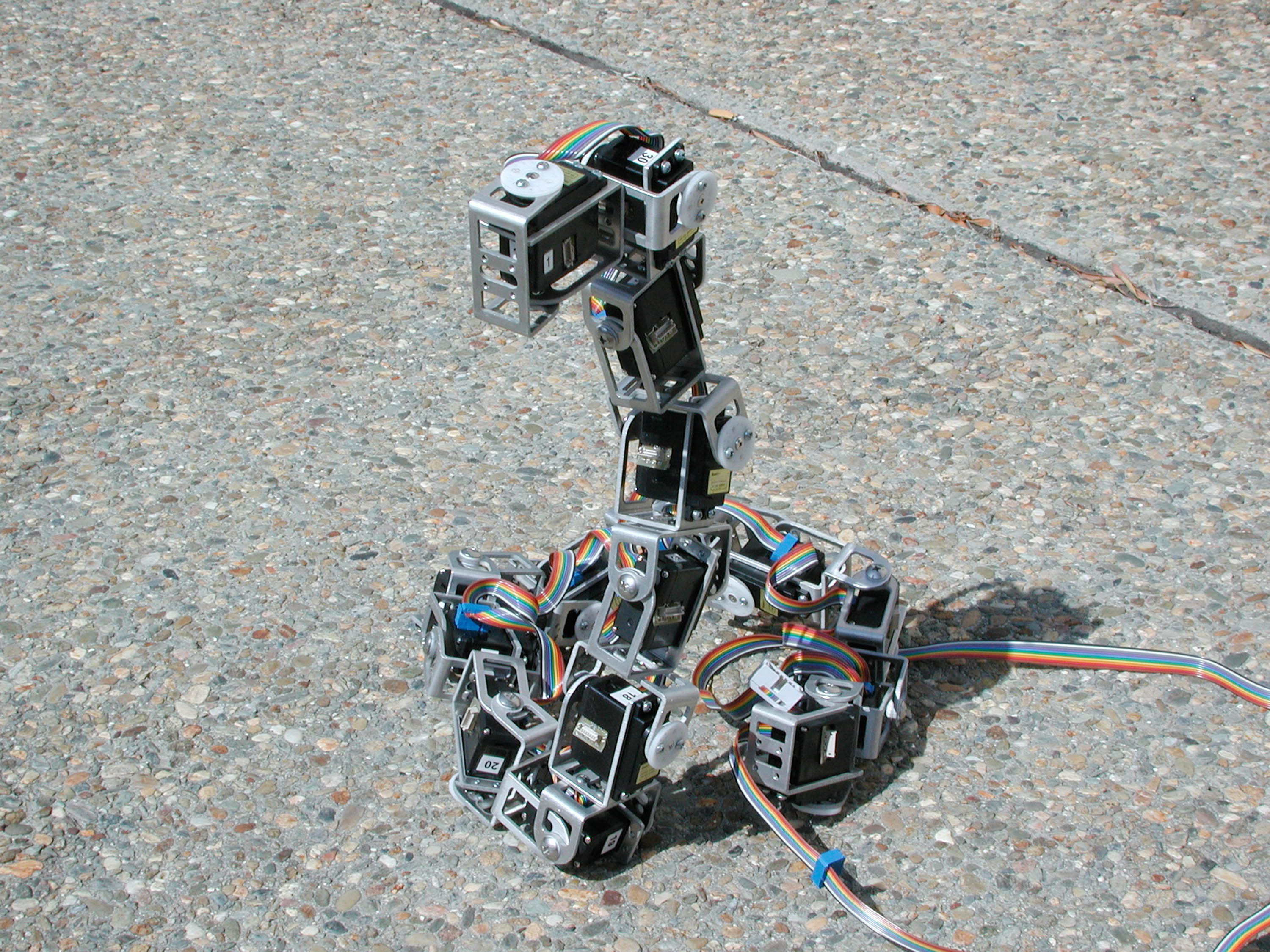 SnakeBot3