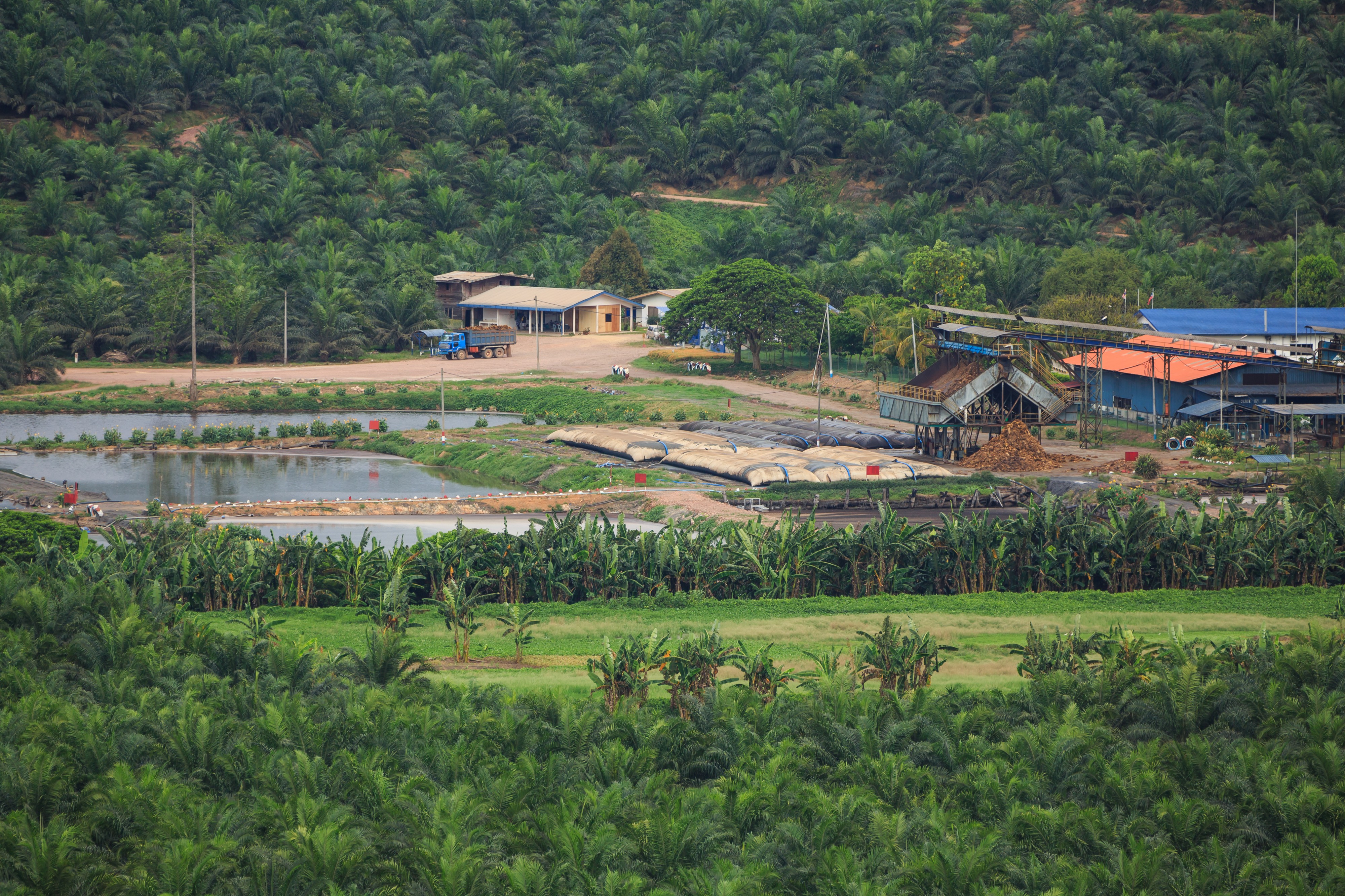 District-Kunak Sabah IOI-Baturong-Palm-Oil-Mill-04