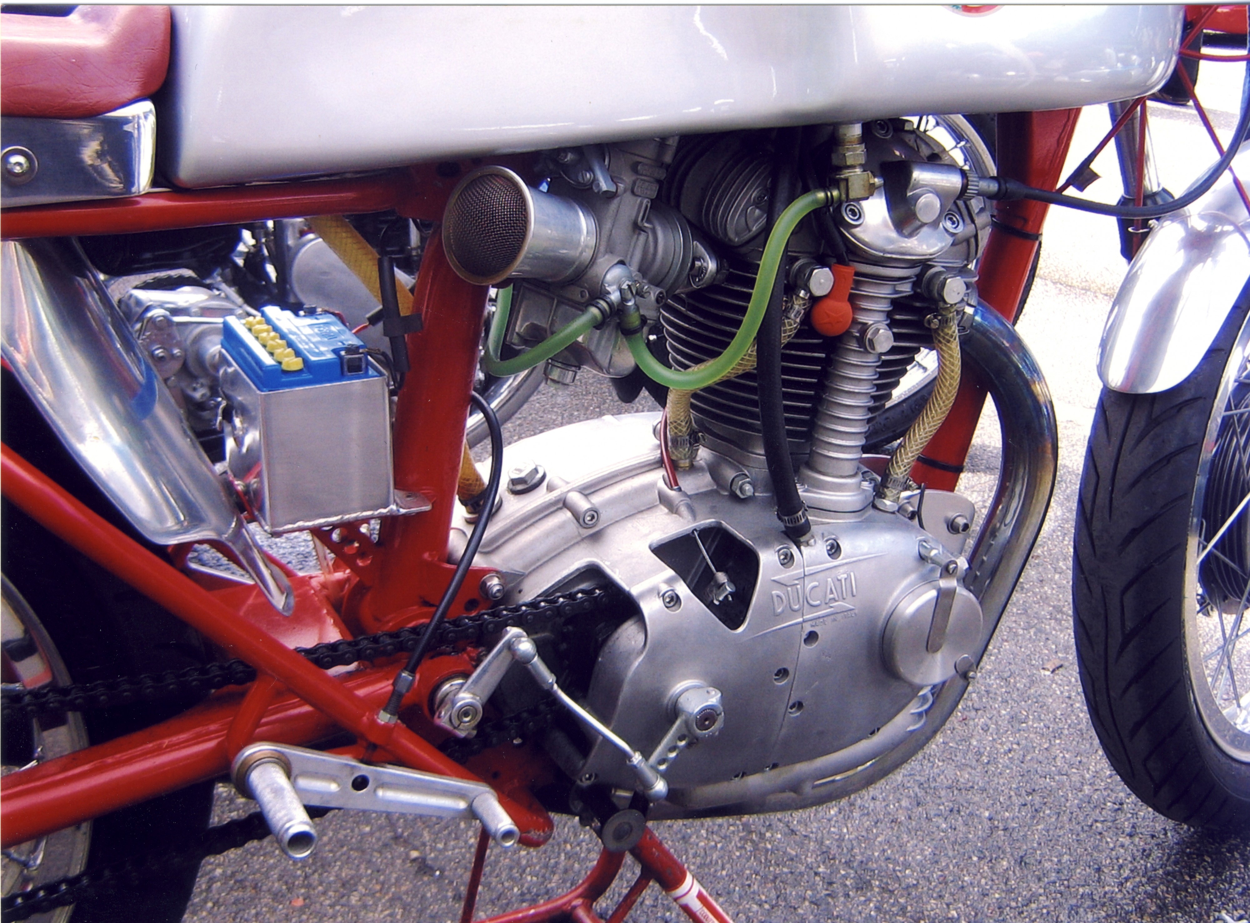 Ducati 350 Mono Special engine