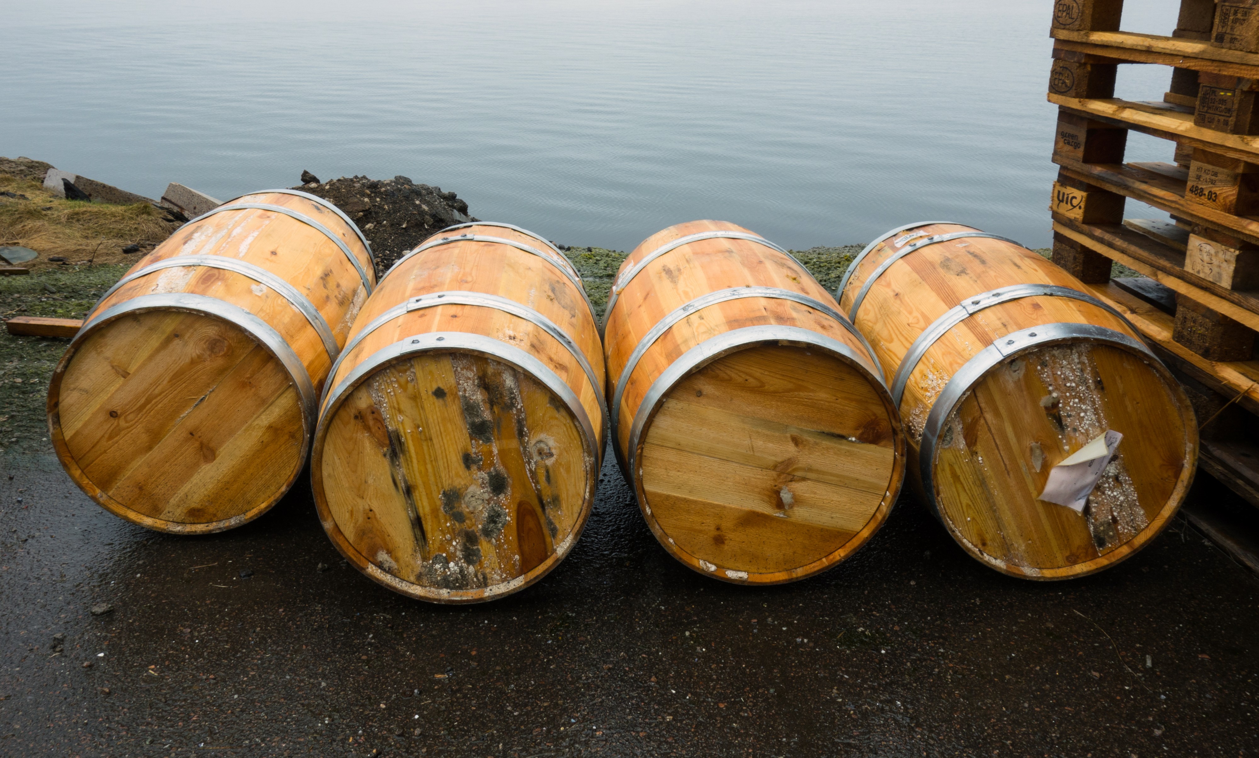 Four barrels by the sea