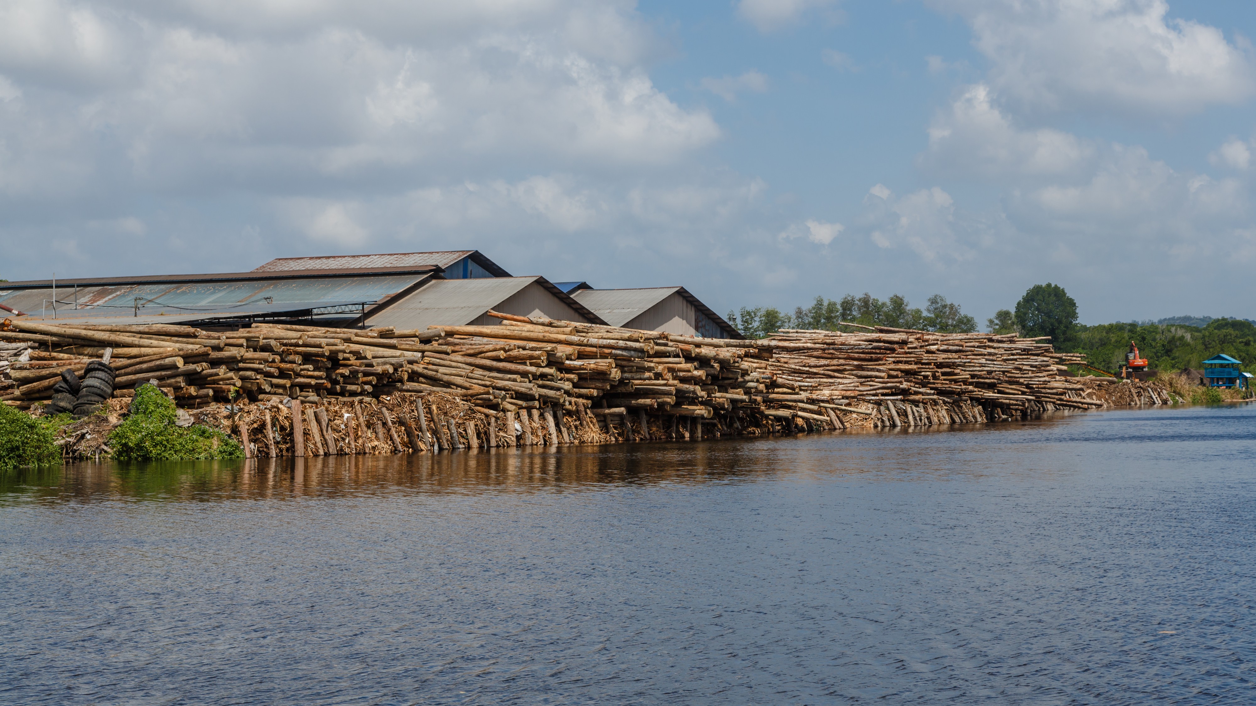 Sandakan Sabah Logpond-01