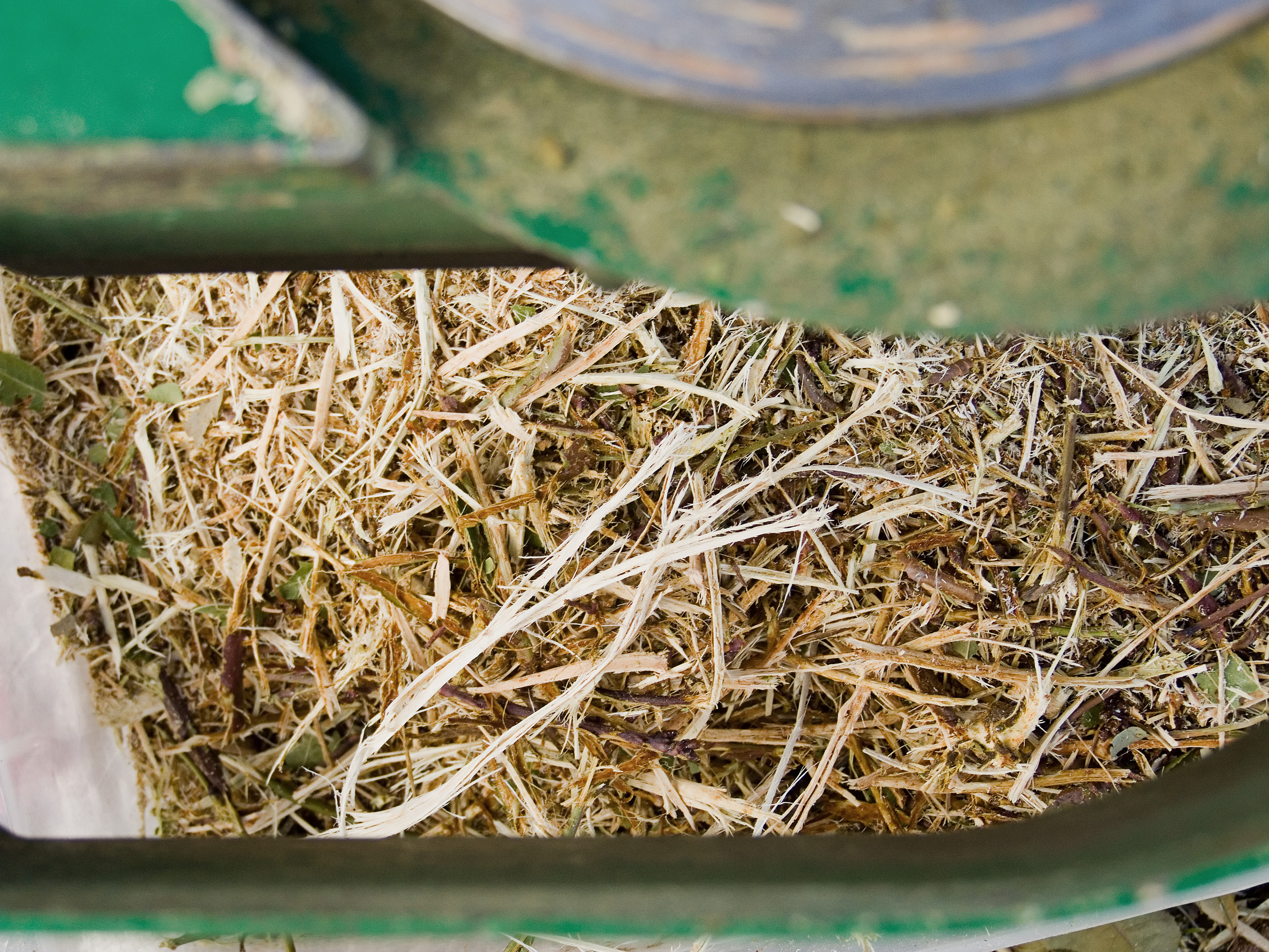 Wood Chippings