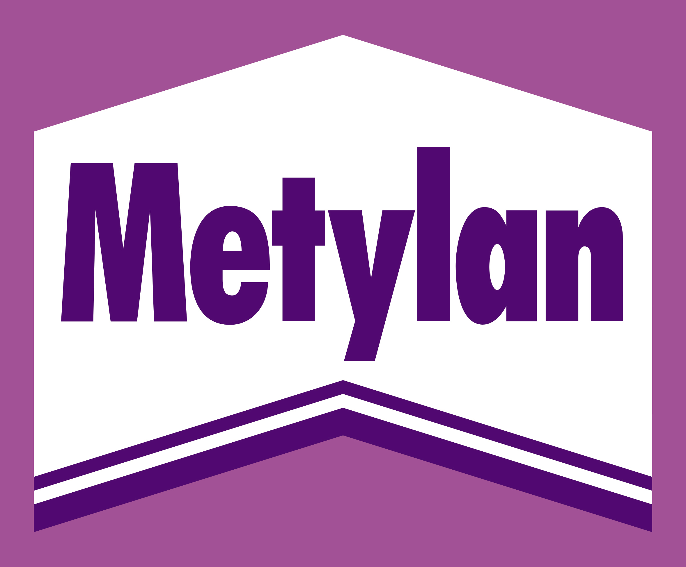 MetylanLogo