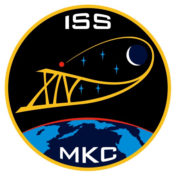 Iss14 mission insignia