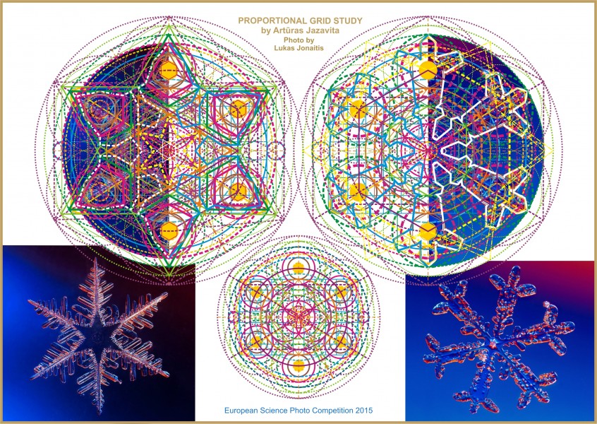 Proportional commonalities between two snowflakes