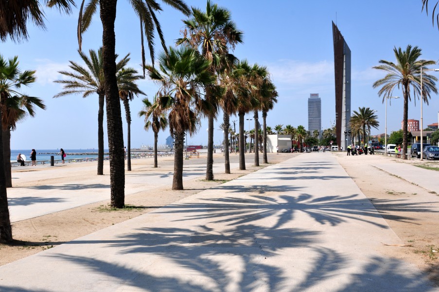 14-08-05-barcelona-RalfR-061