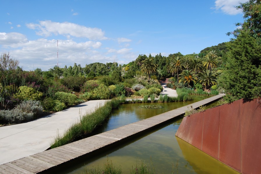 Jardí Botànic de Barcelona scene