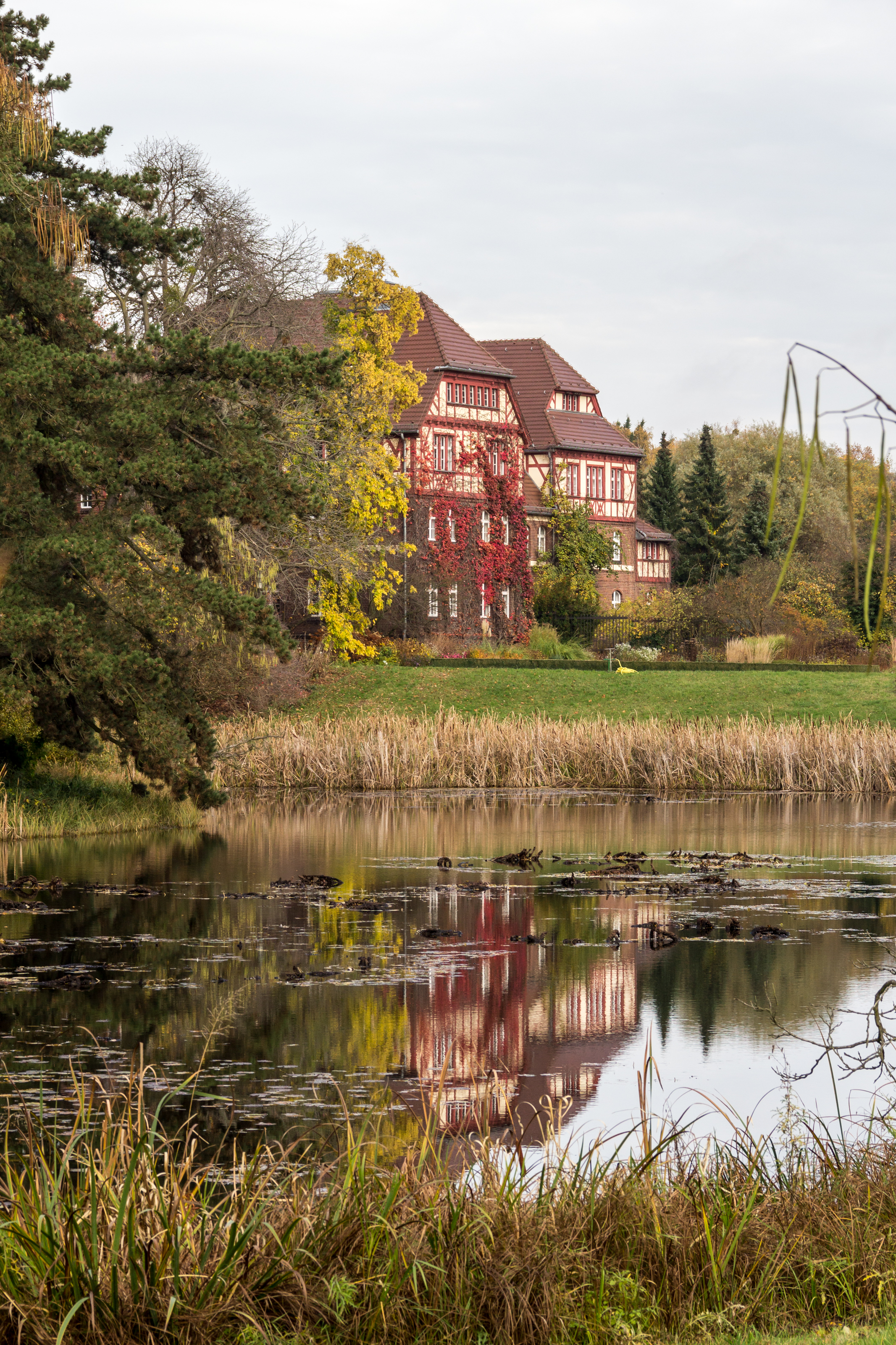 Berlin, Botanischer Garten -- 2013 -- 4737