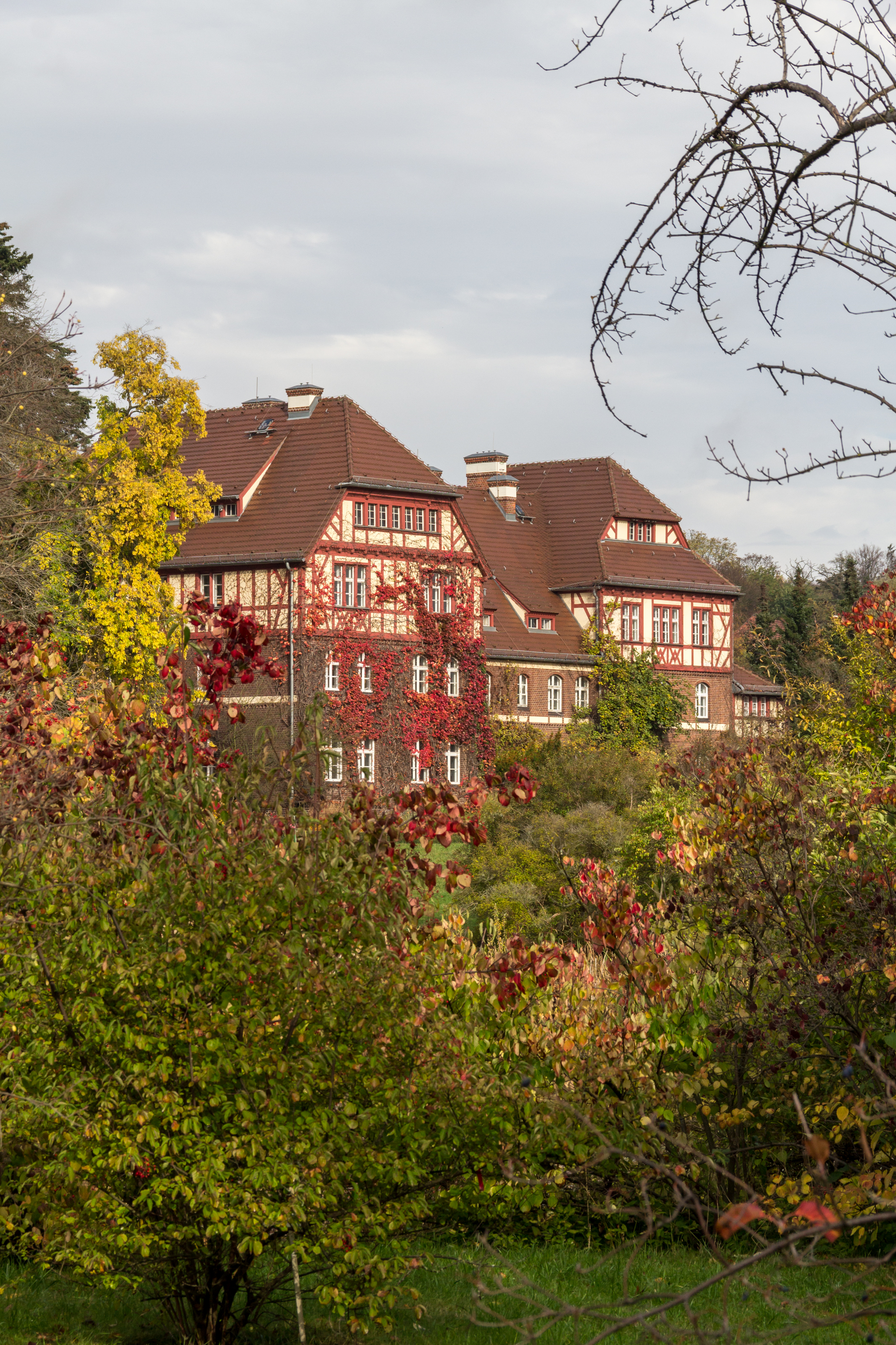 Berlin, Botanischer Garten -- 2013 -- 4738