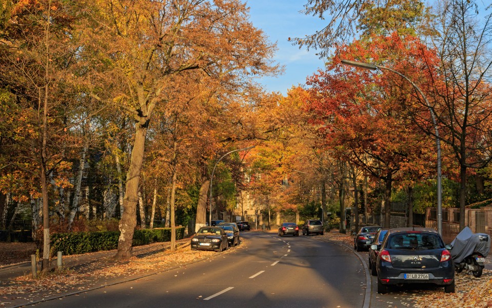 Koenigsallee Berlin-Grunewald 10-2015