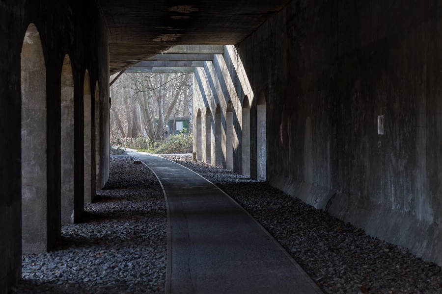 Tunnel, Naturpark Schöneberger Südgelände, Berlin, 170129, ako