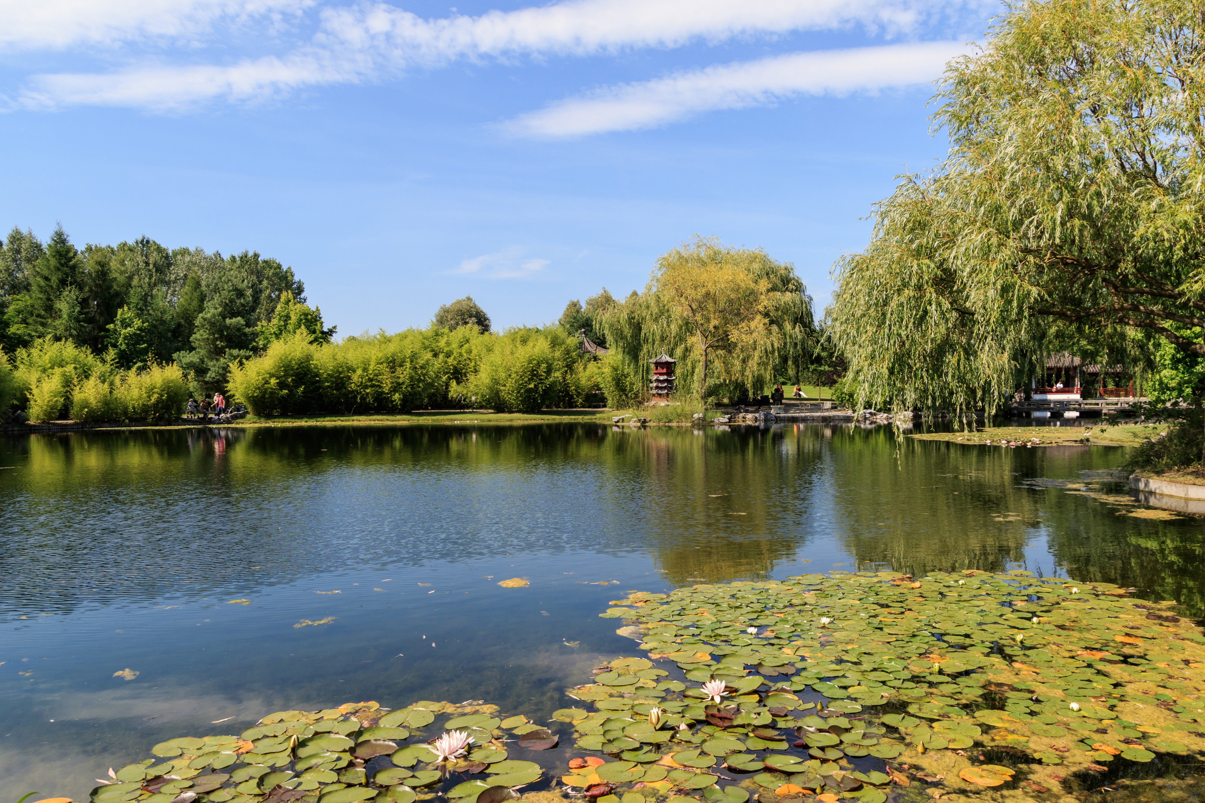 Marzahn Gaerten der Welt 08-2015 img08 Chinese Garden