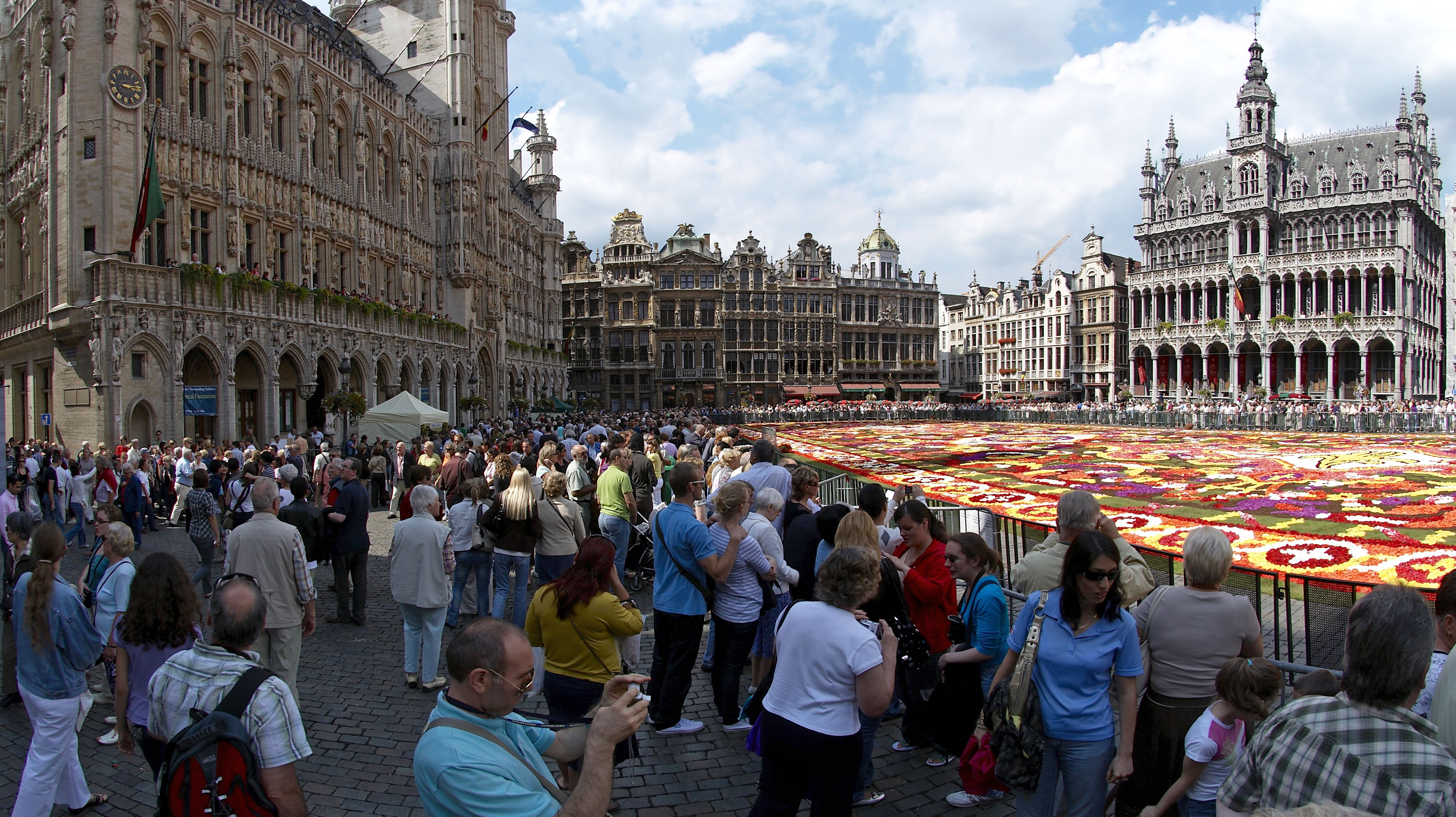 Brussels floral carpet D