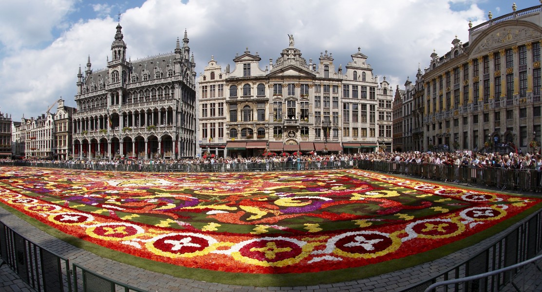 Brussels floral carpet C