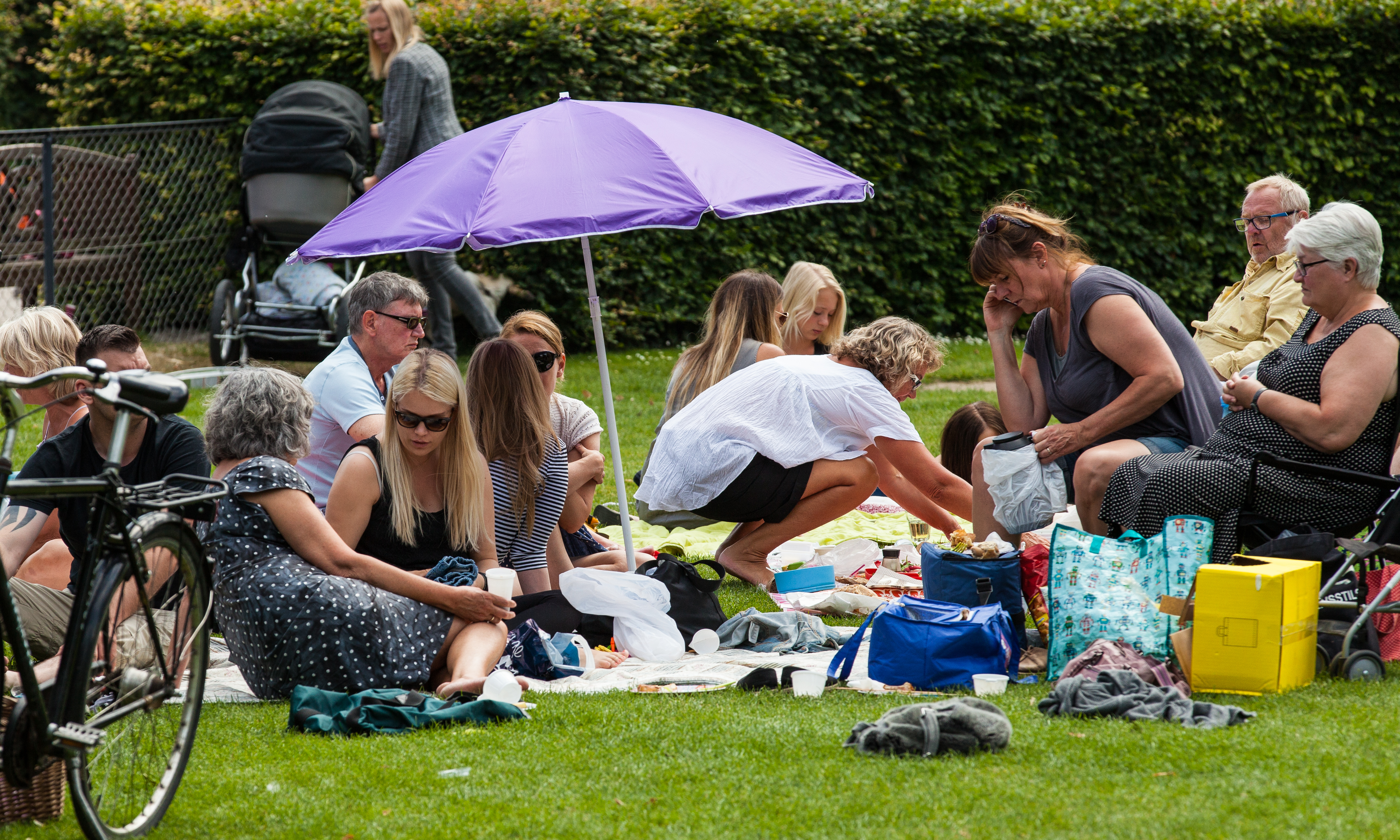 people in a park in Copenhagen, Denmark, June 2014, picture 35
