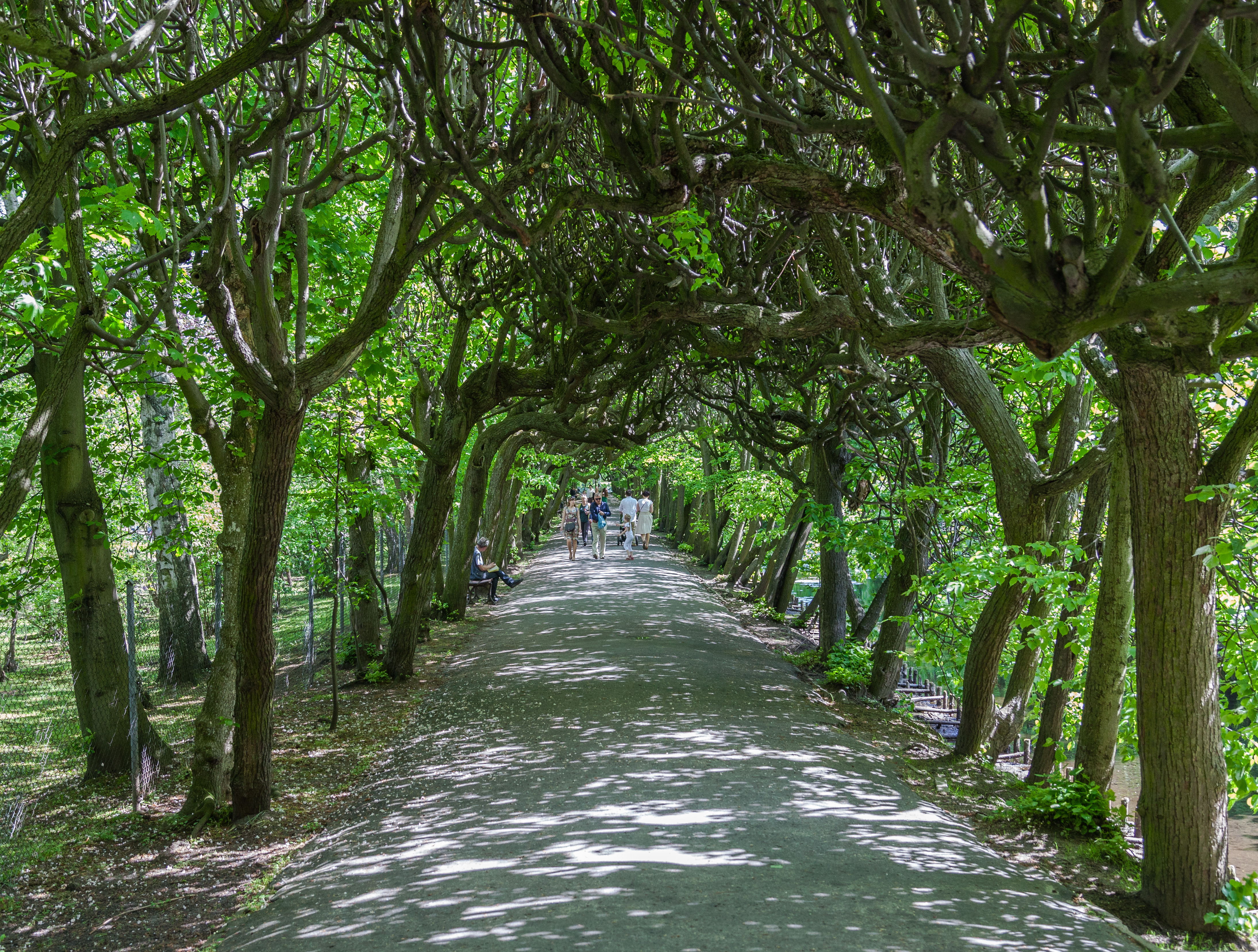 Parque Adam Mickiewicz, Oliwa, Gdansk, Polonia, 2013-05-21, DD 04