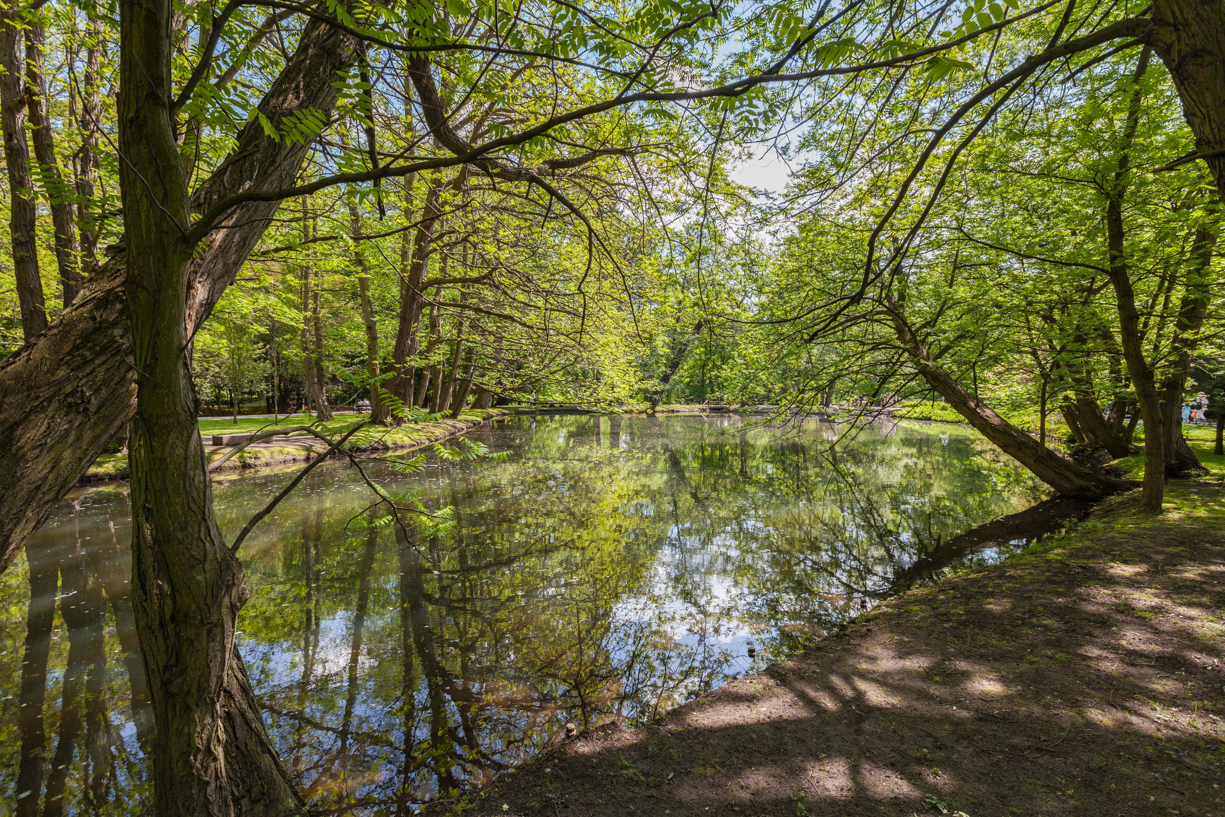 Parque Adam Mickiewicz, Oliwa, Gdansk, Polonia, 2013-05-21, DD 06