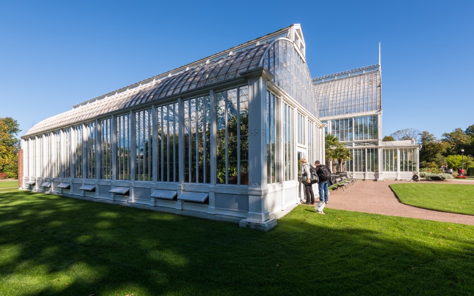 Palmhuset September 2015 08