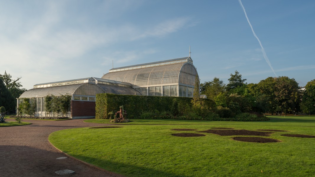 Palmhuset September 2016 01