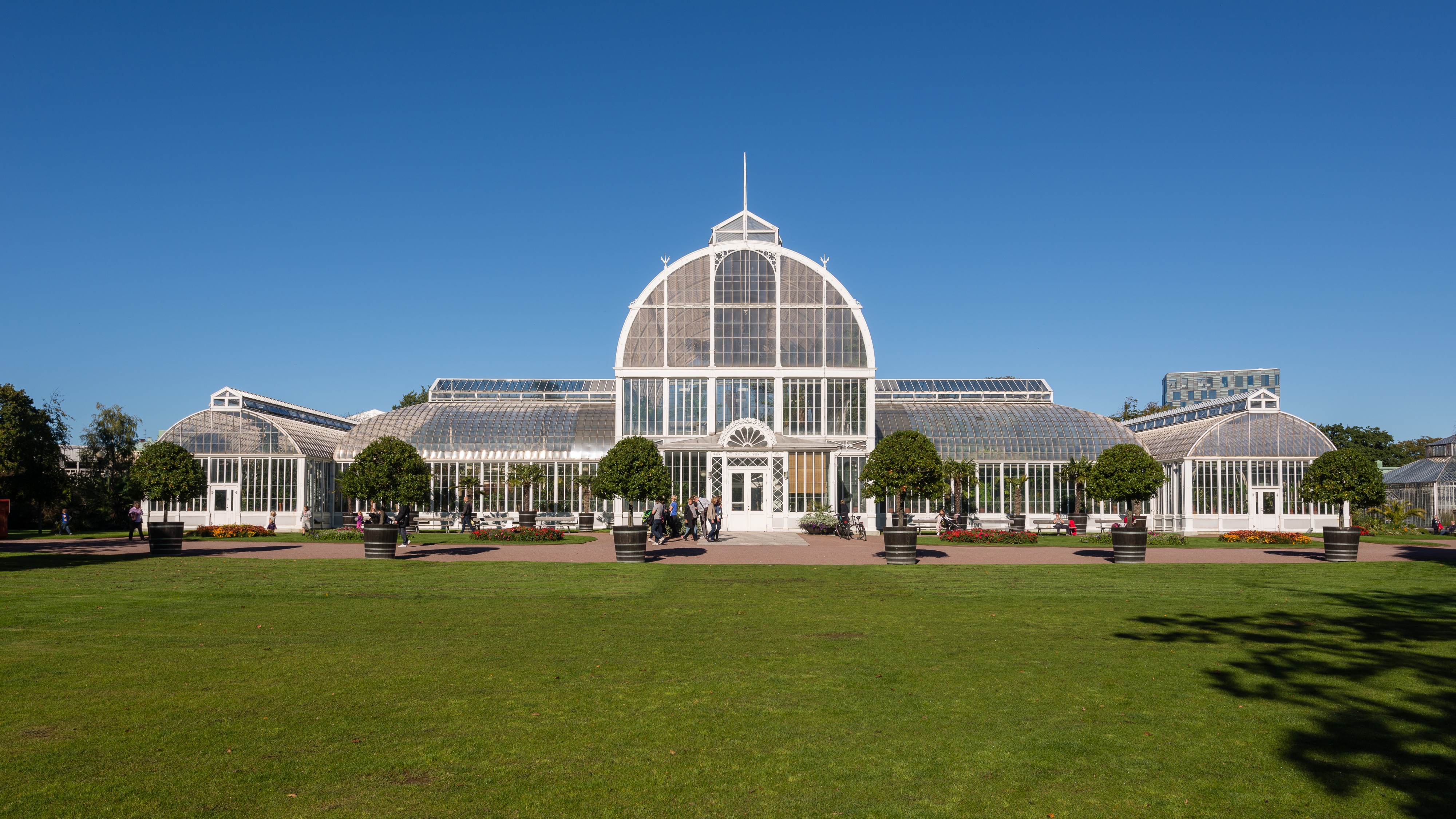 Palmhuset September 2015 01