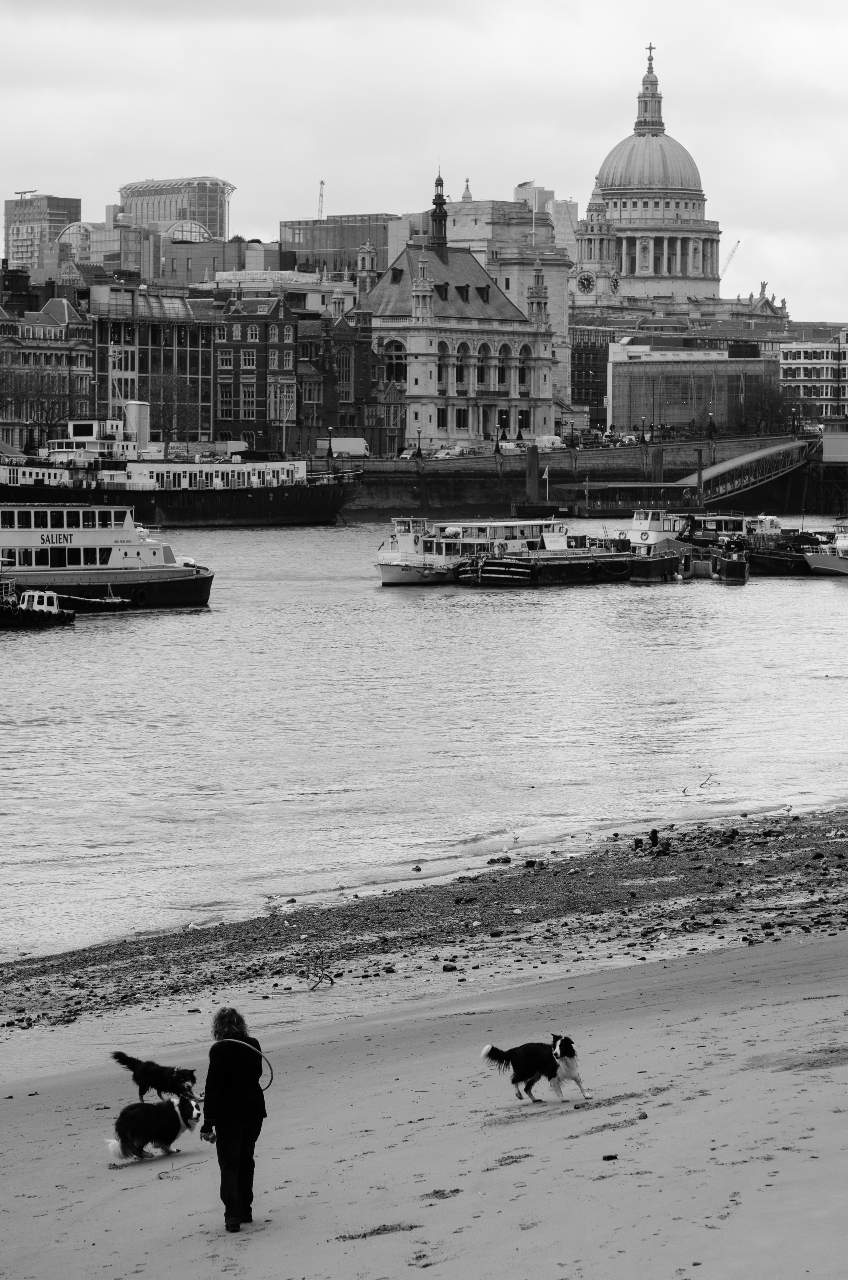 South Bank Mars 2014 01