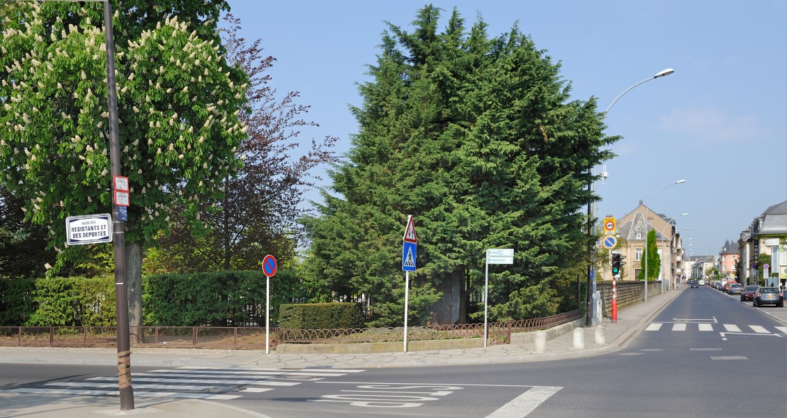 Luxemb City Limpertsberg crossroads