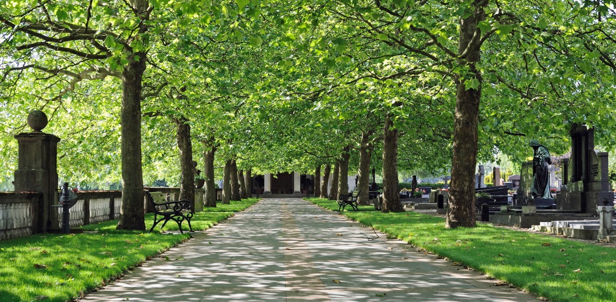 Luxembourg cimetière Notre-Dame platanes 02