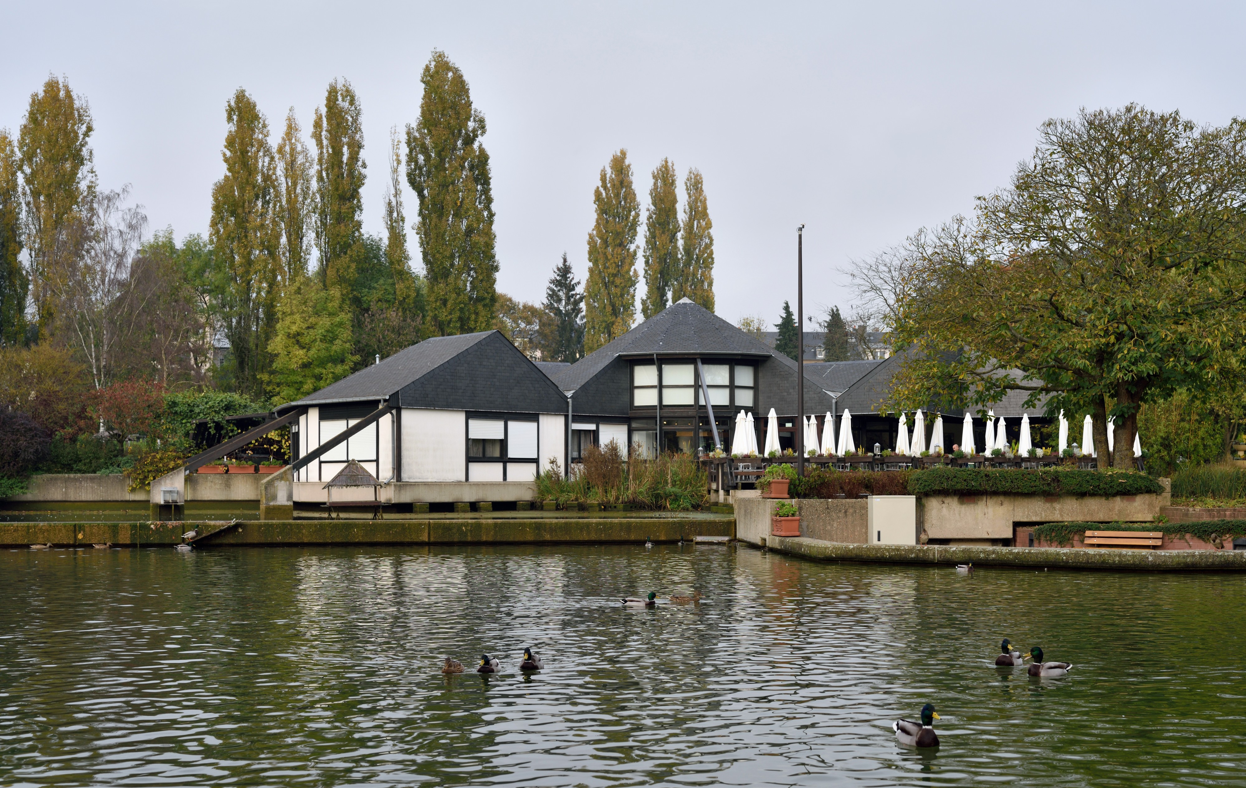 Parc de Merl 30 oct 2015