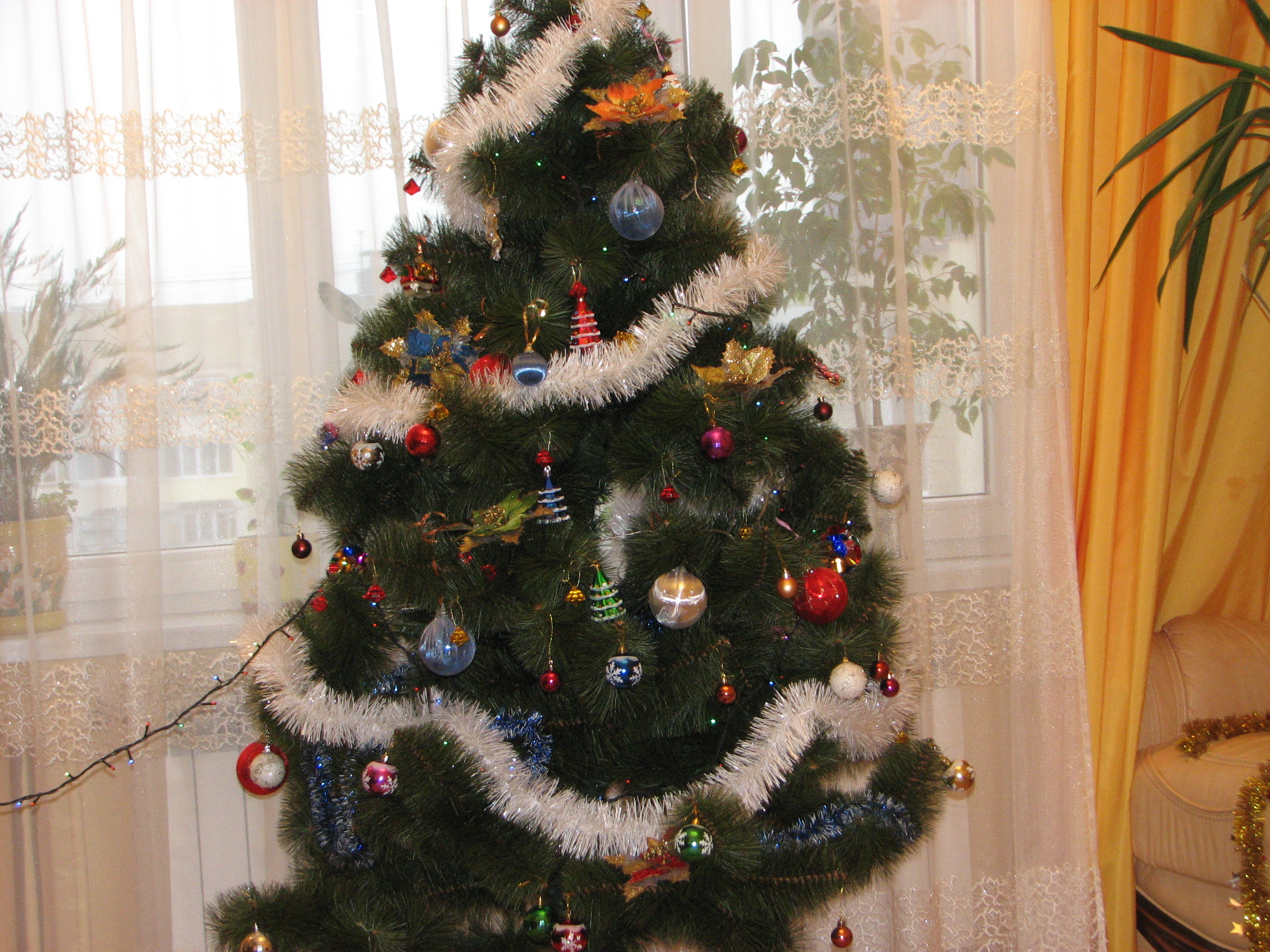 Christmas tree in a Lviv apartment