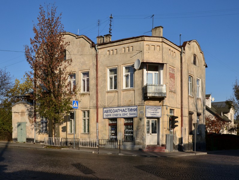 223 Lychakivska Street (01)