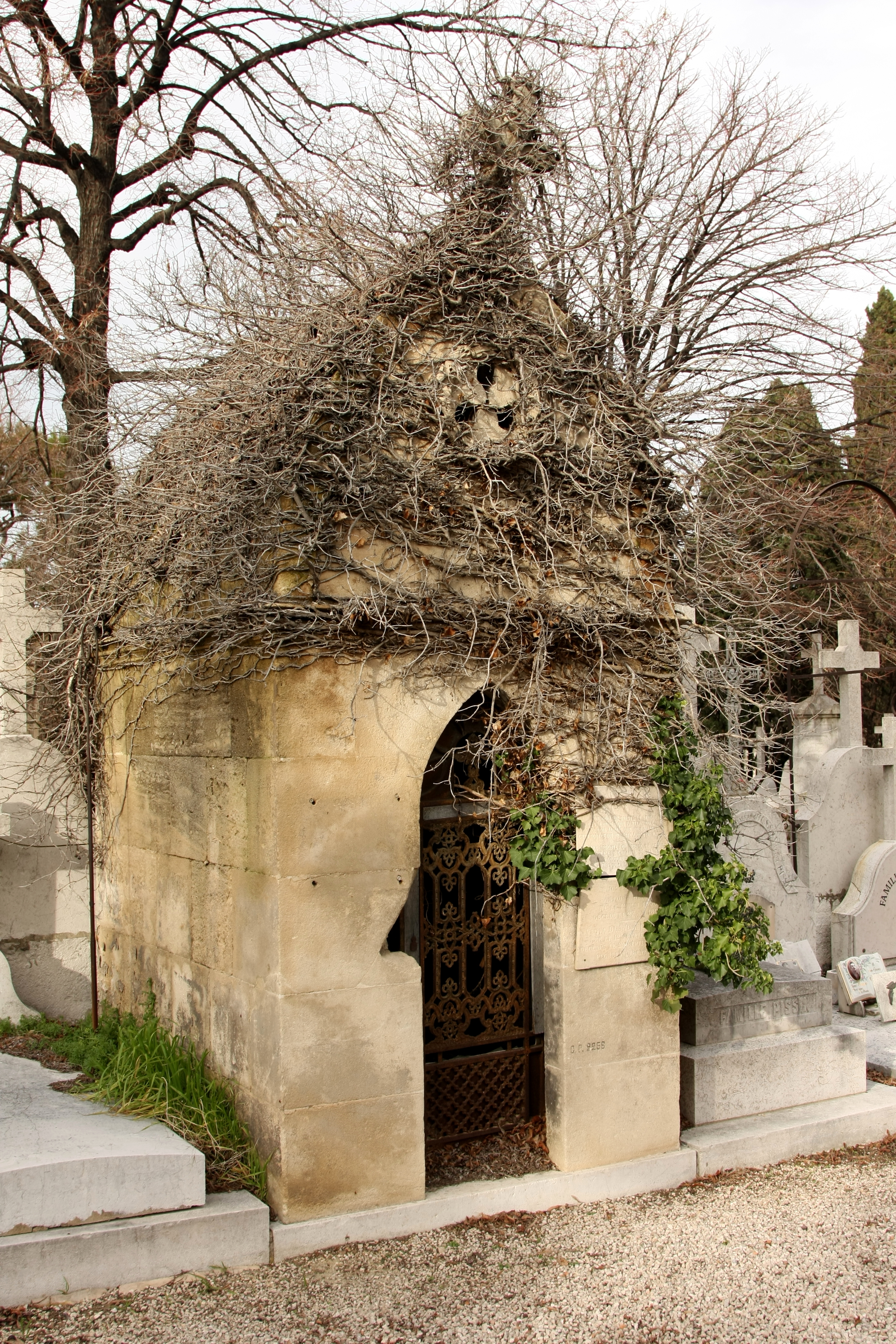 Overgrown Tomb St-Pierre Marseille