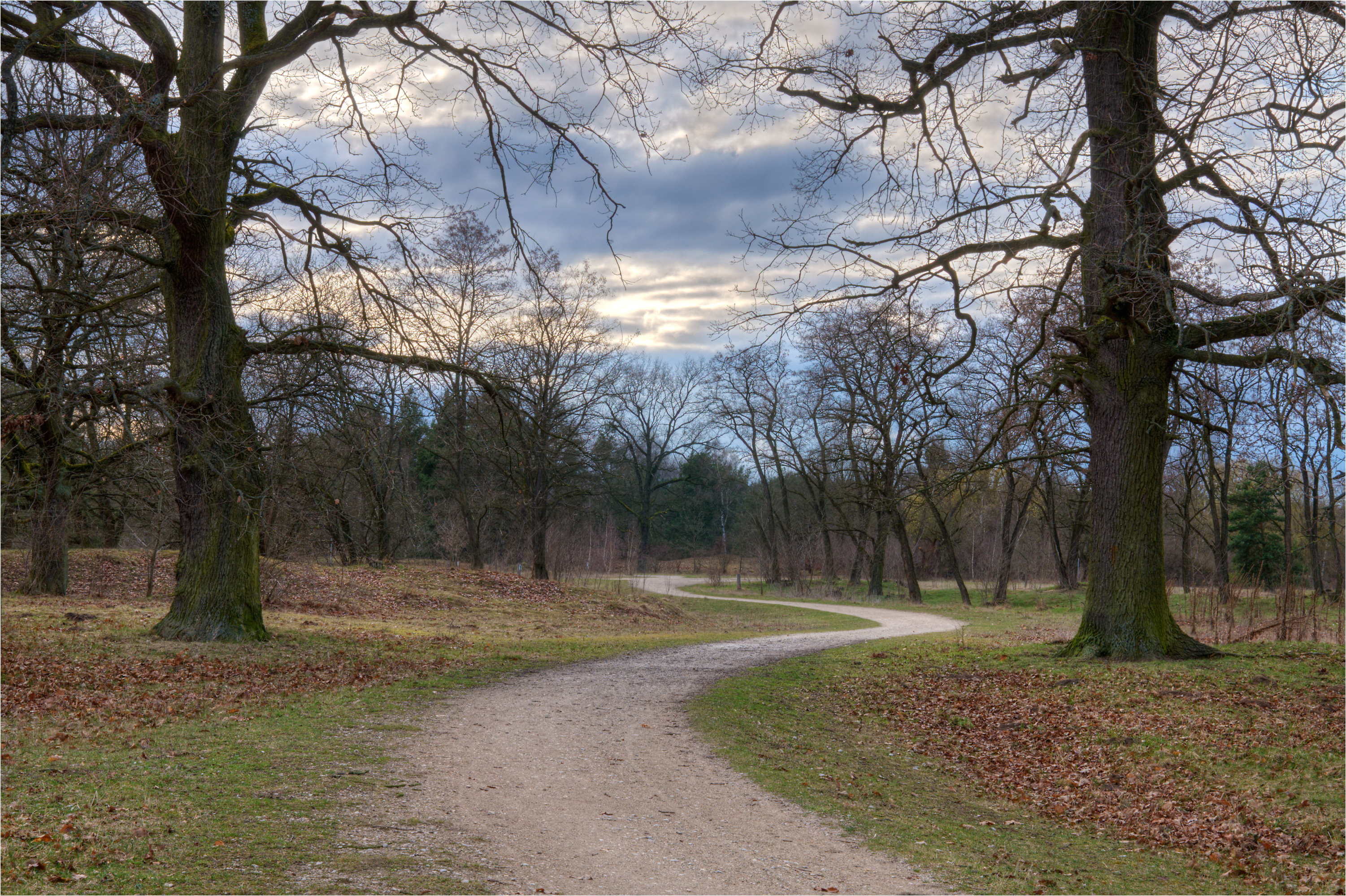 Hainberg march SK