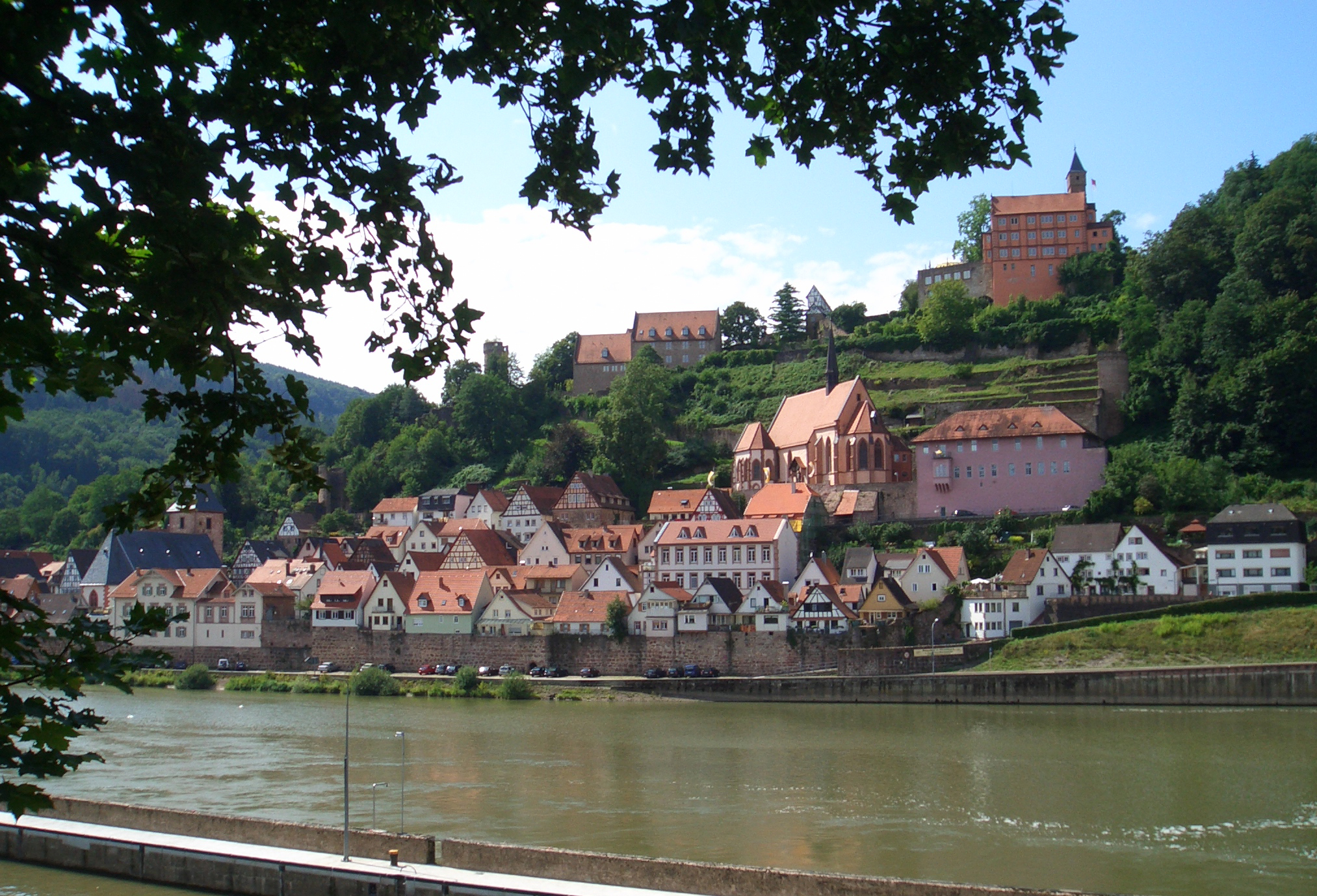 200608171357a (Hartmann Linge) Hirschhorn Neckar