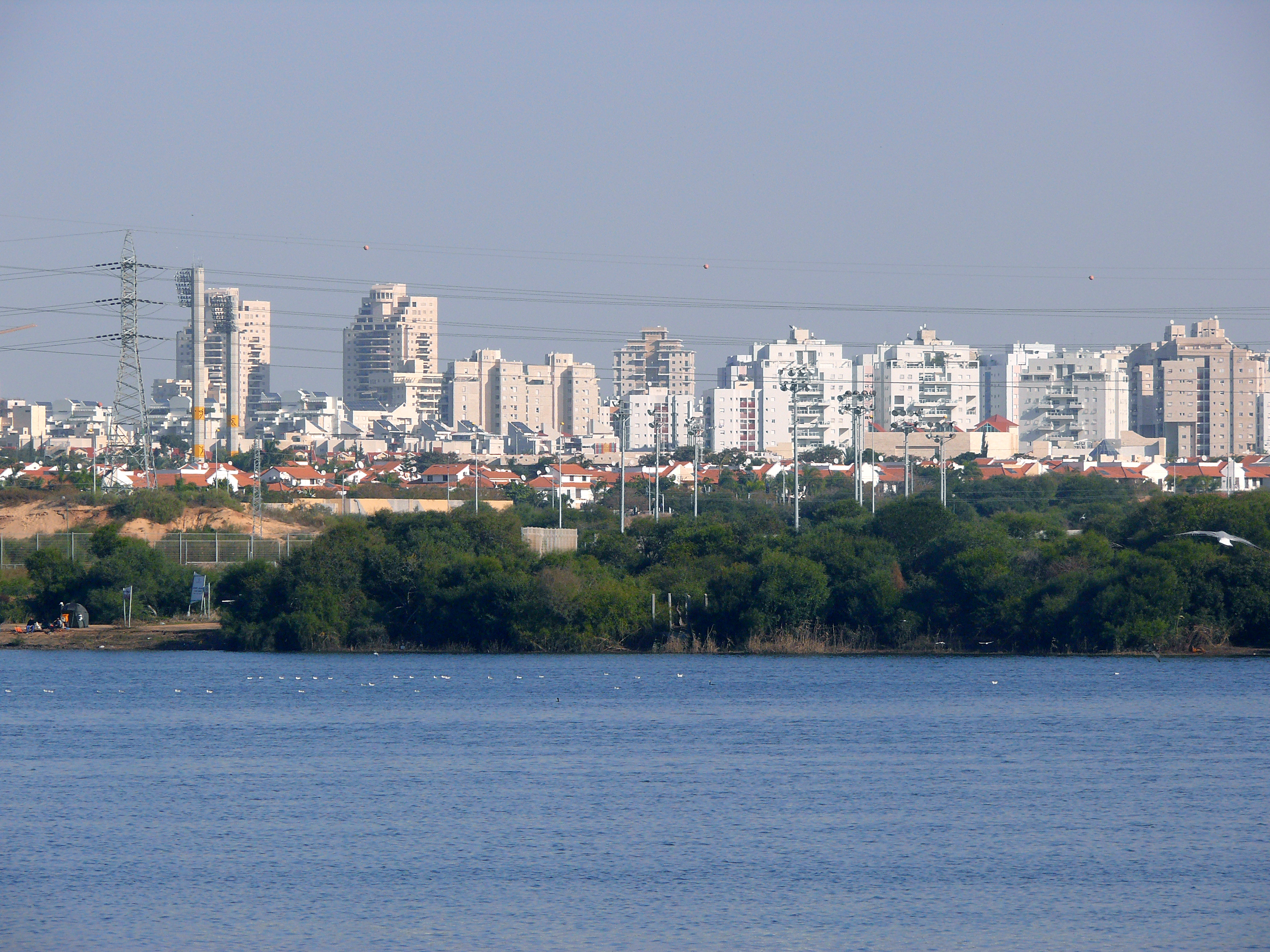 AgamonRishon 0098a